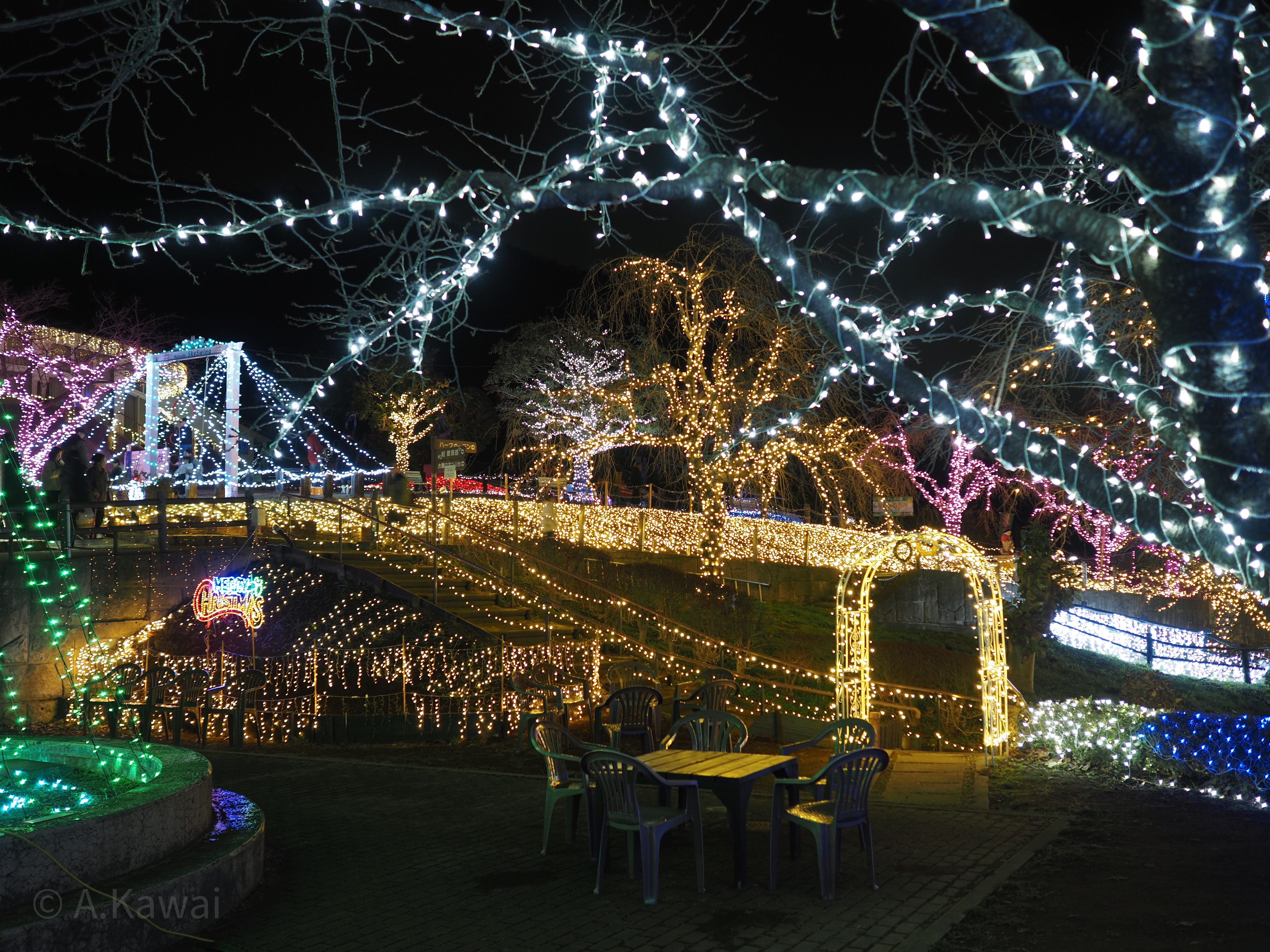 イルミネーションと、足柄平野の灯りと :松田きらきらフェスタ（西平畑