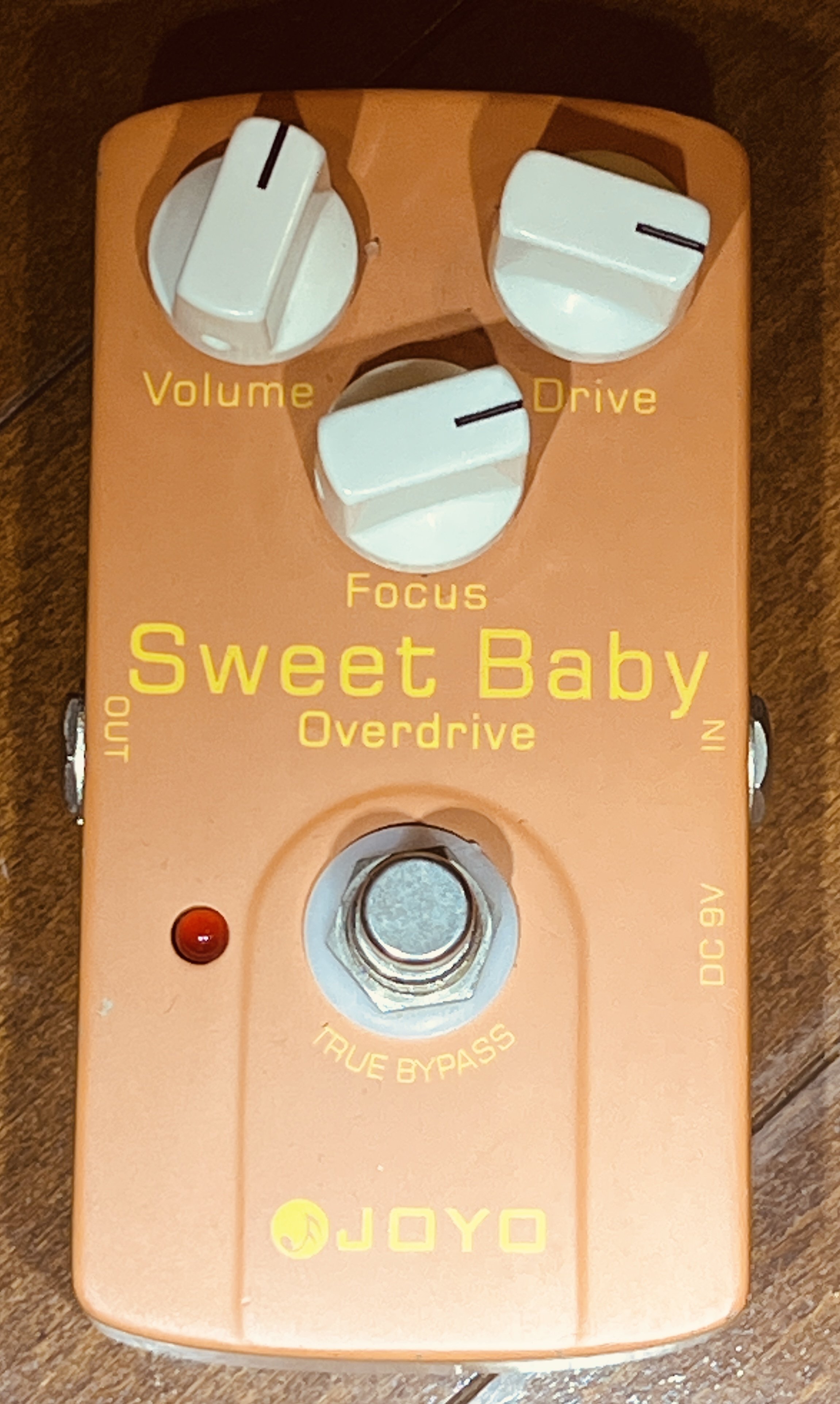 2025年 迎えたエフェクターを振り返る｜ぎぎぎ ぎぎじろう