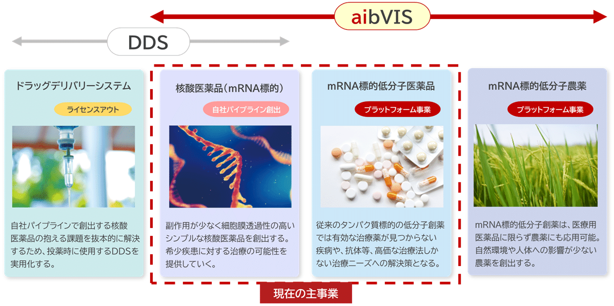 2025年の挑戦と進化、そして2026年の新たな成長フェーズへ｜中村 慎吾