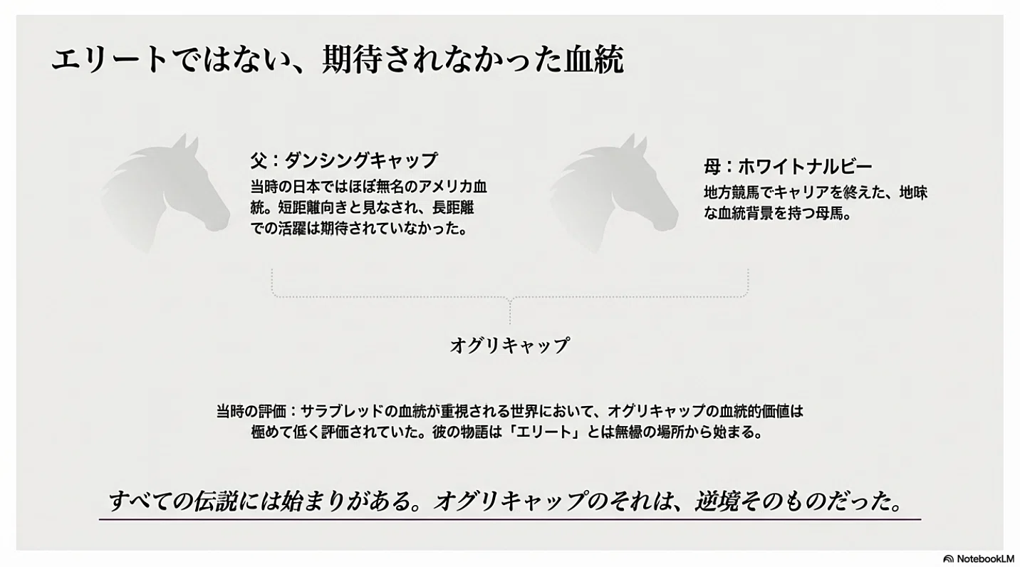 地方から中央へ、そして国民的名馬へ ― 新ひだか町が生んだ奇跡