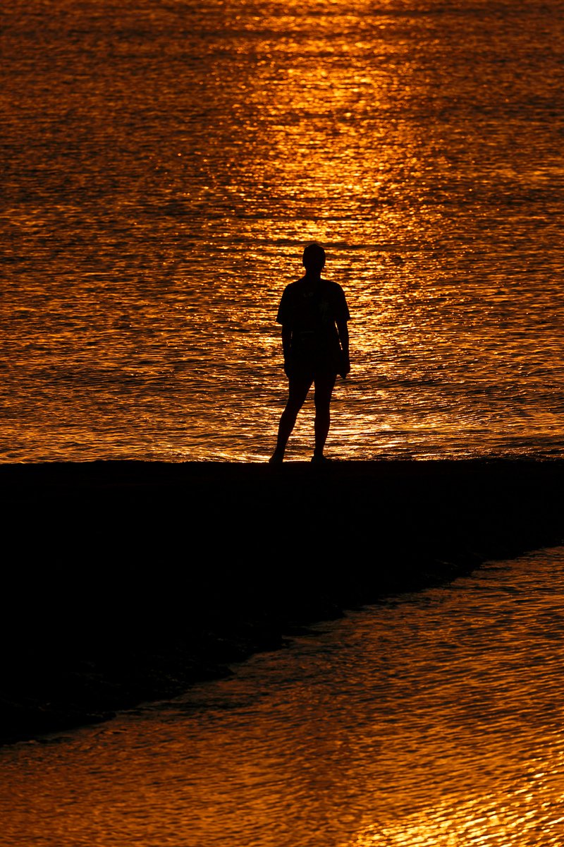 シルエット #31｜Masaki Senko