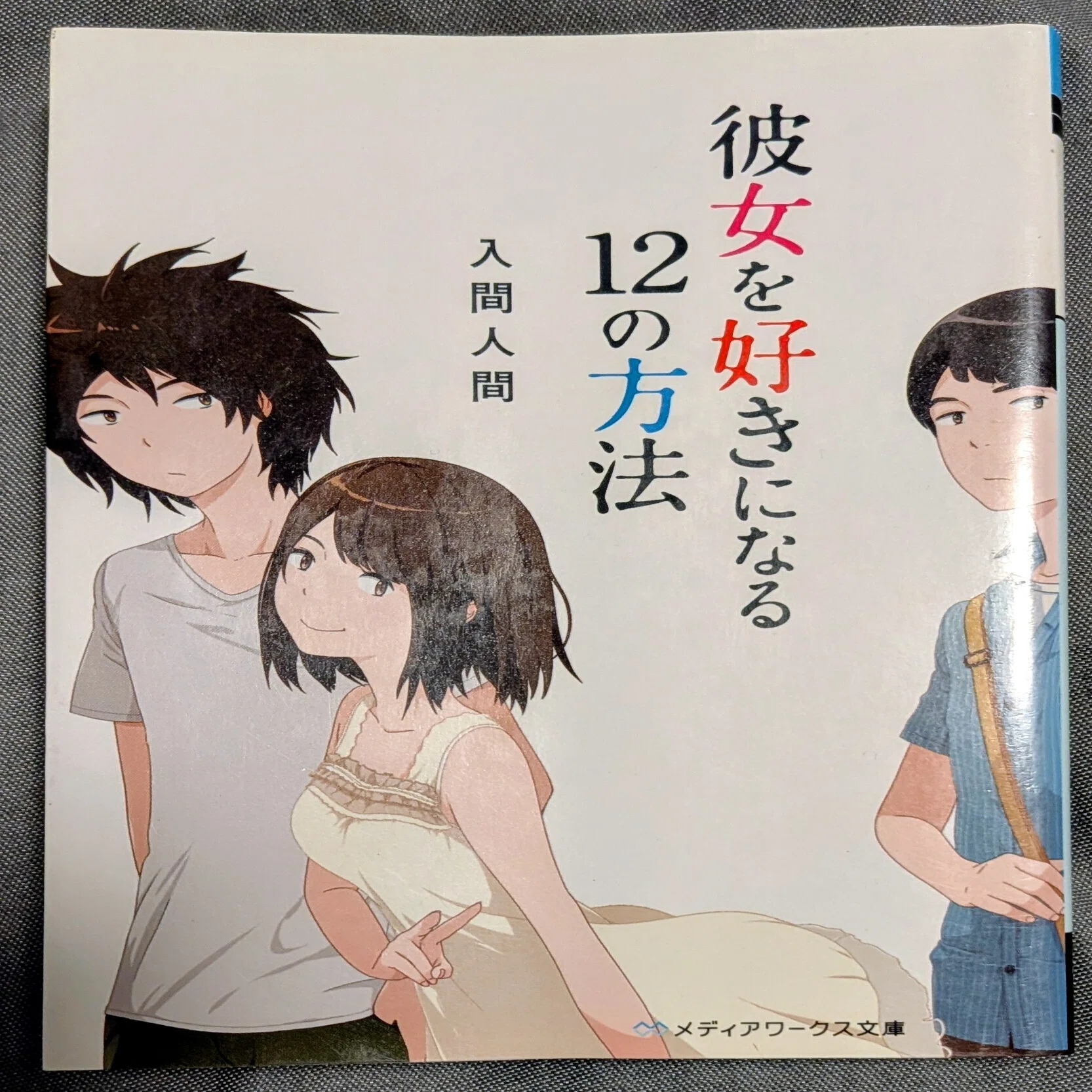 読書記録「彼女を好きになる12の方法」｜川口 竜也 / 川口市出身の自称 