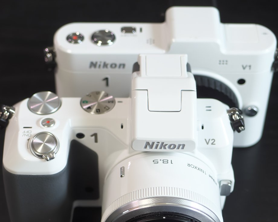 2機目のニコワン｜Nikon1v2｜夏と放し飼い