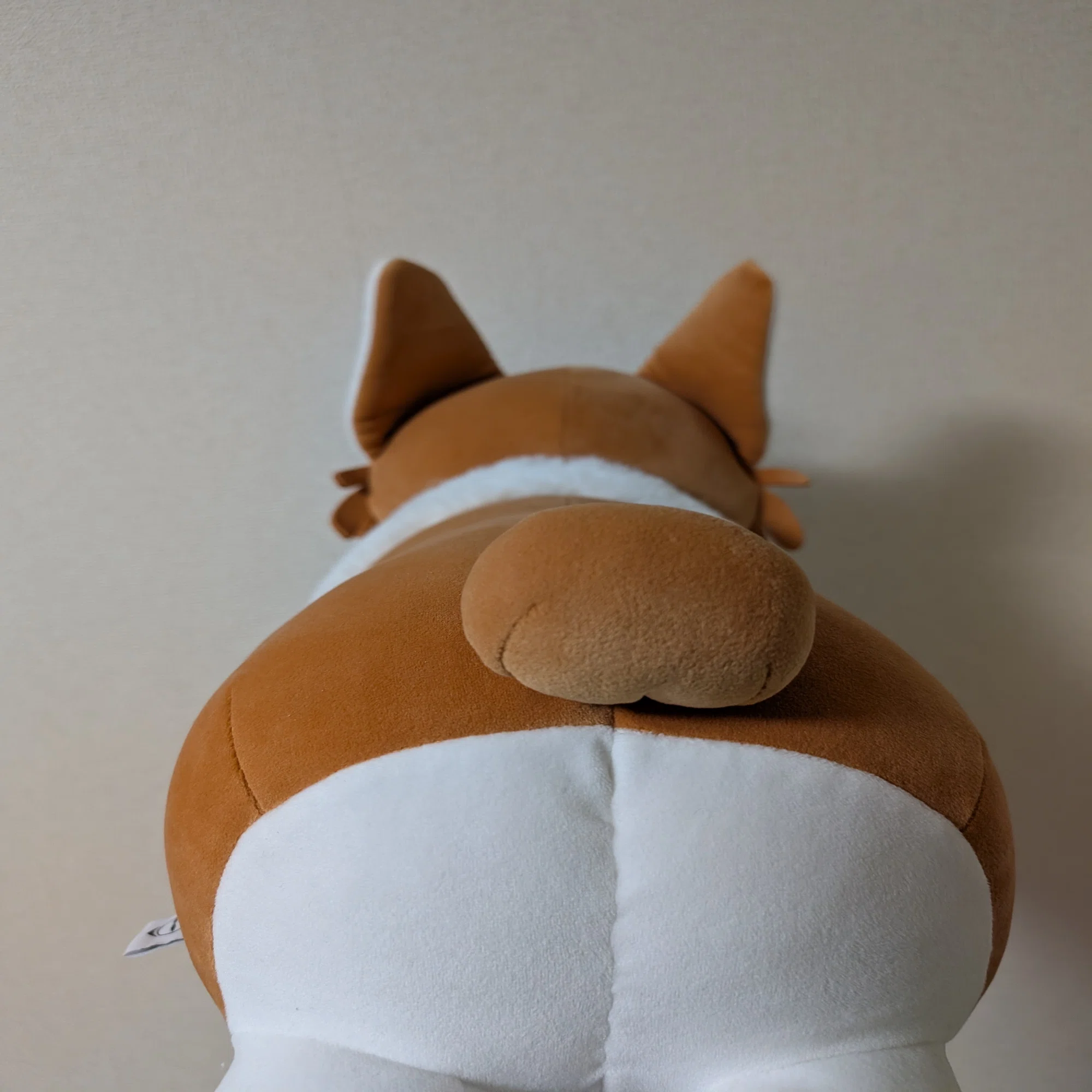 ヨルシカ コーギー ぬいぐるみ suisデザイン コーギーぬいぐるみ発売の 