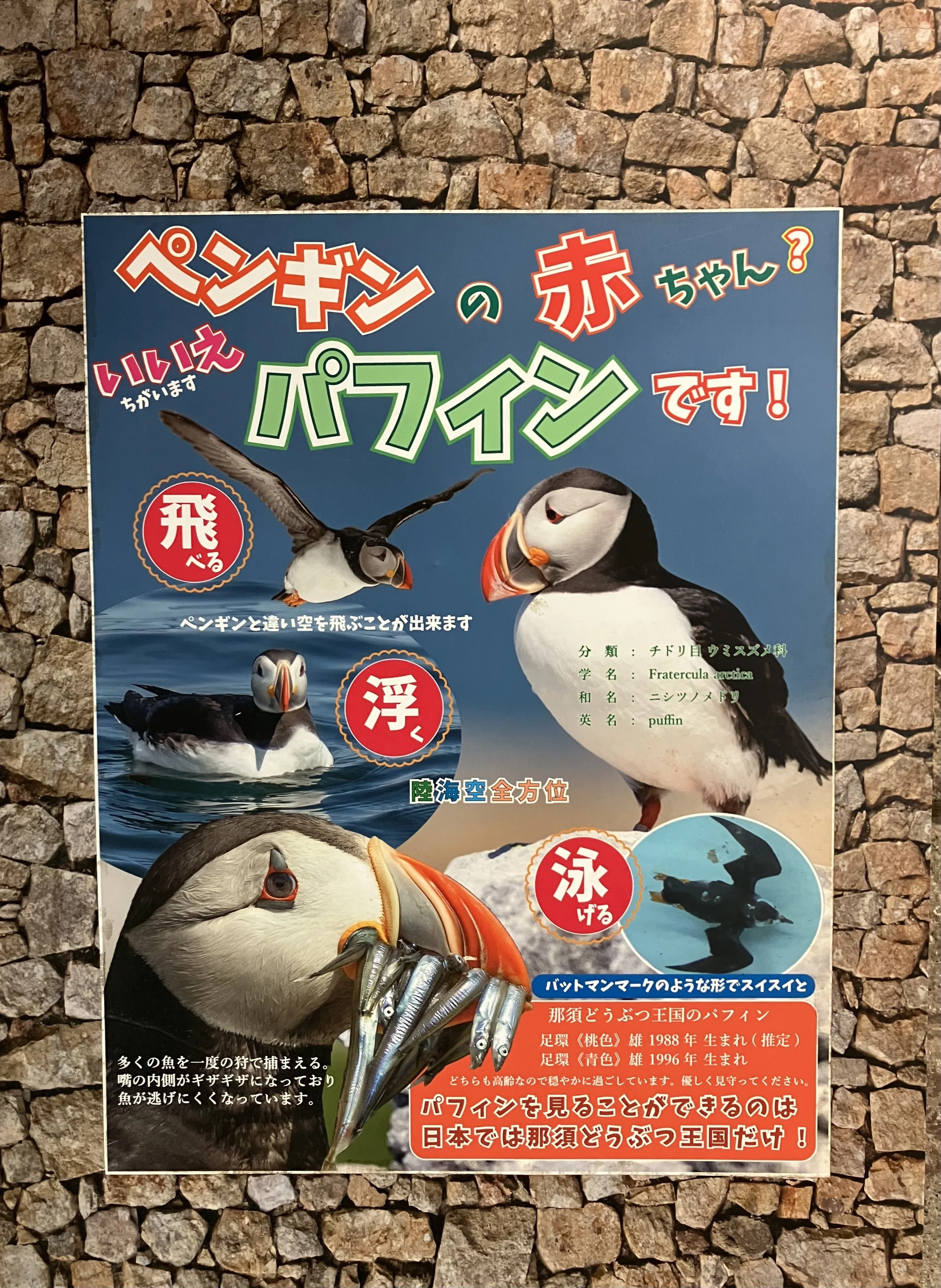 この子、実は〇〇なんです！！！｜那須どうぶつ王国公式note