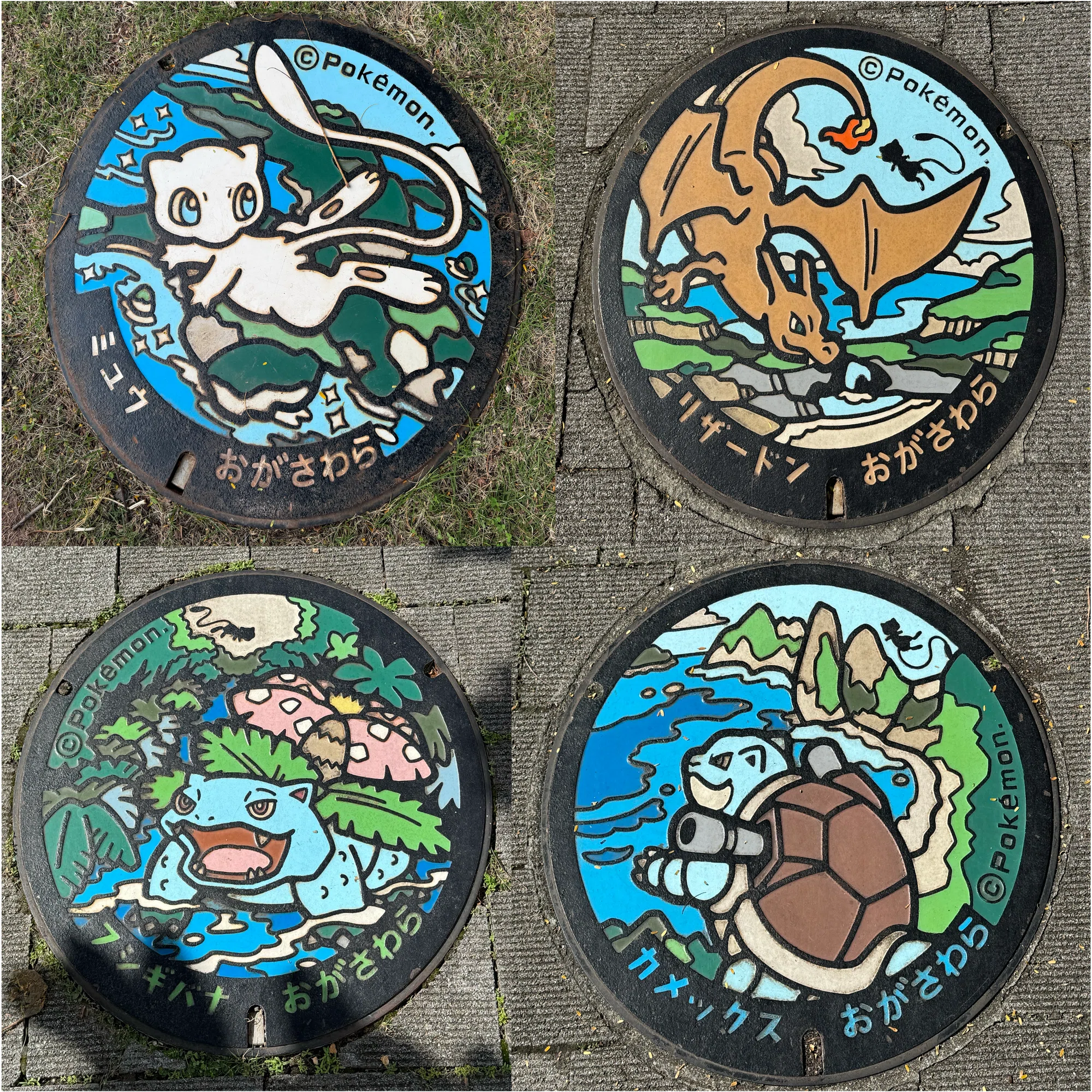 父島においてきたポケモンが帰ってこない話【父島旅行×ポケモン記】｜15