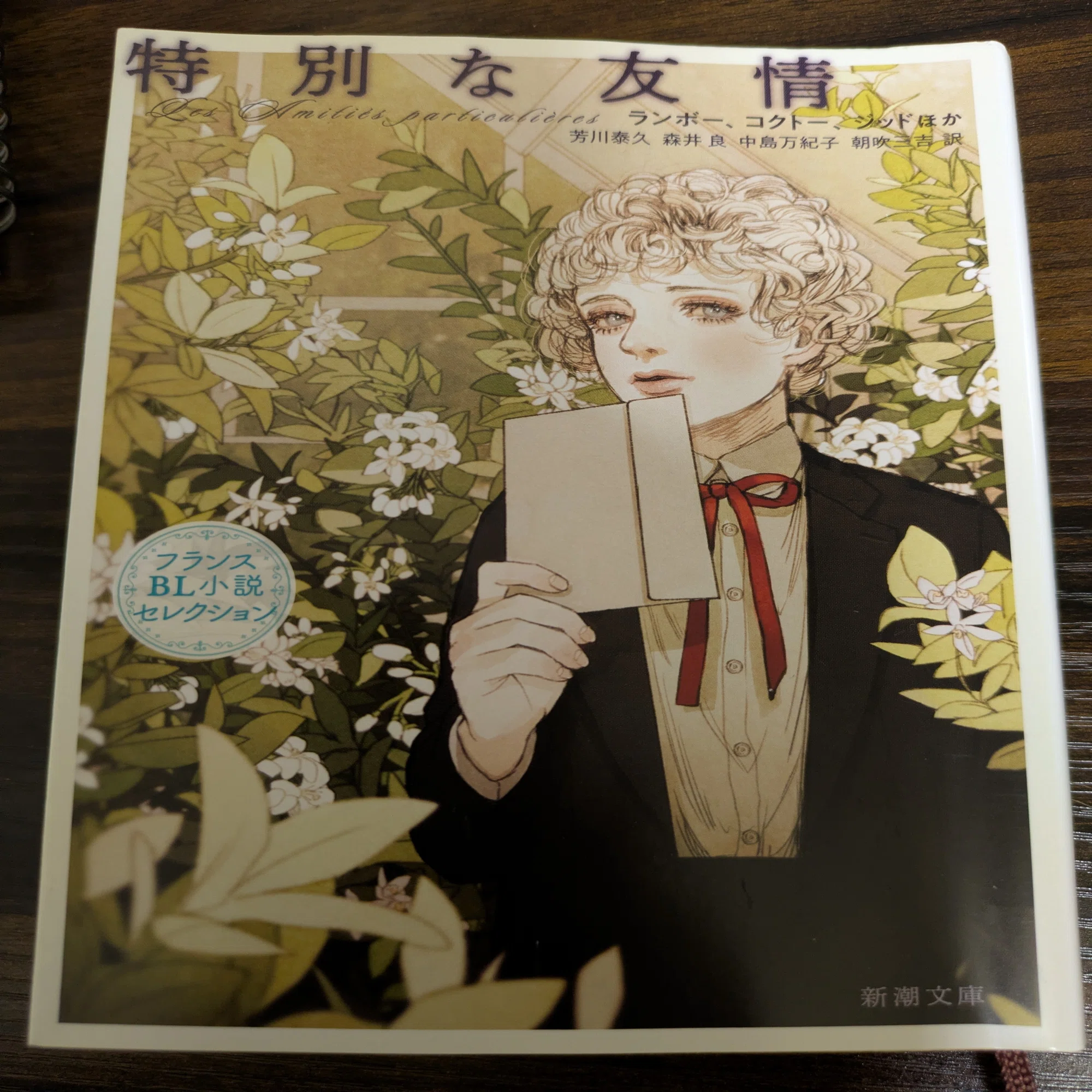 読書ノート③『特別な友情 フランスBL小説セレクション』｜仁矢田美弥