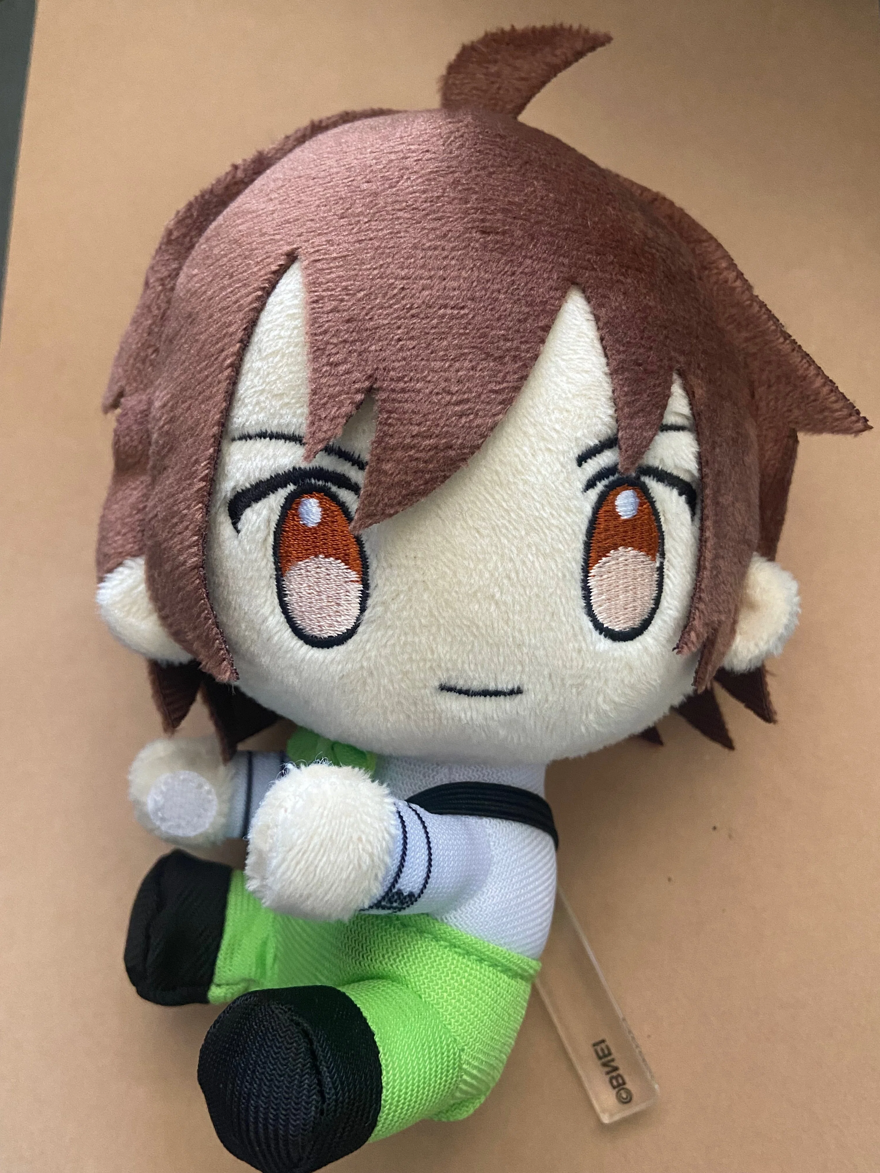 続・天ヶ瀬のぬいヶ瀬を語る｜か