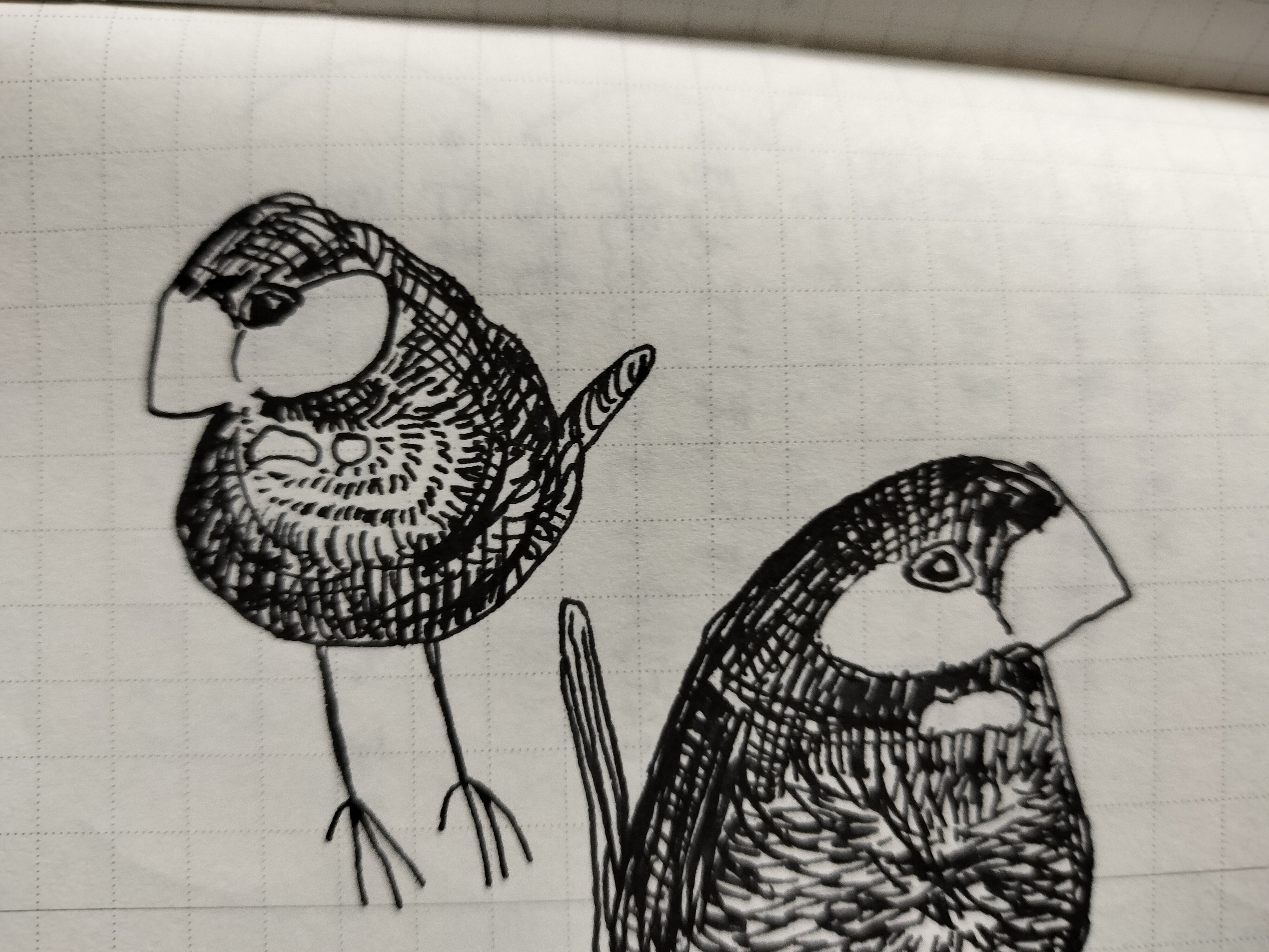 2025年、ノートにいたイラスト｜耳