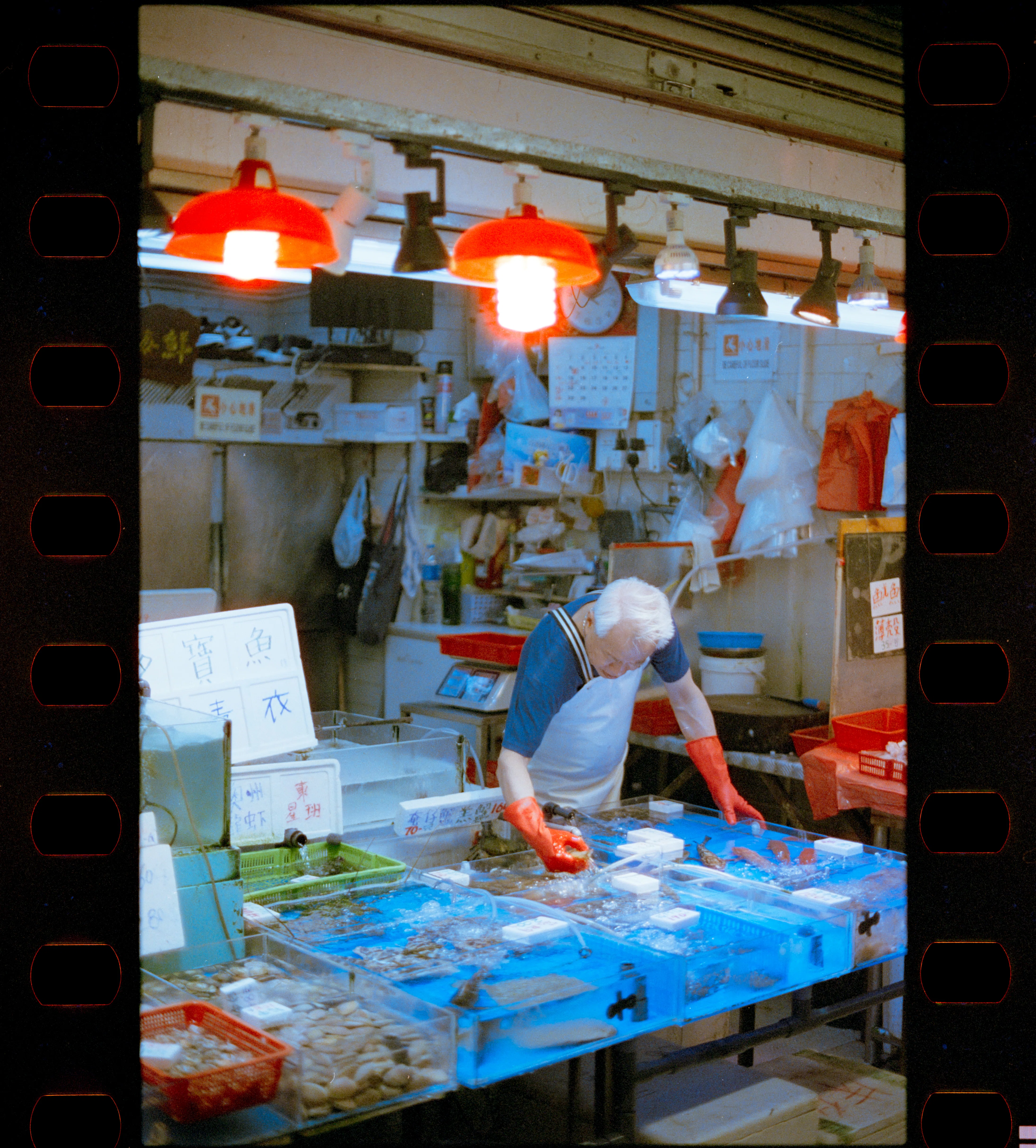 フィルムで歩く、香港。｜旅の終わりに見たカオス｜Kenta Mizune
