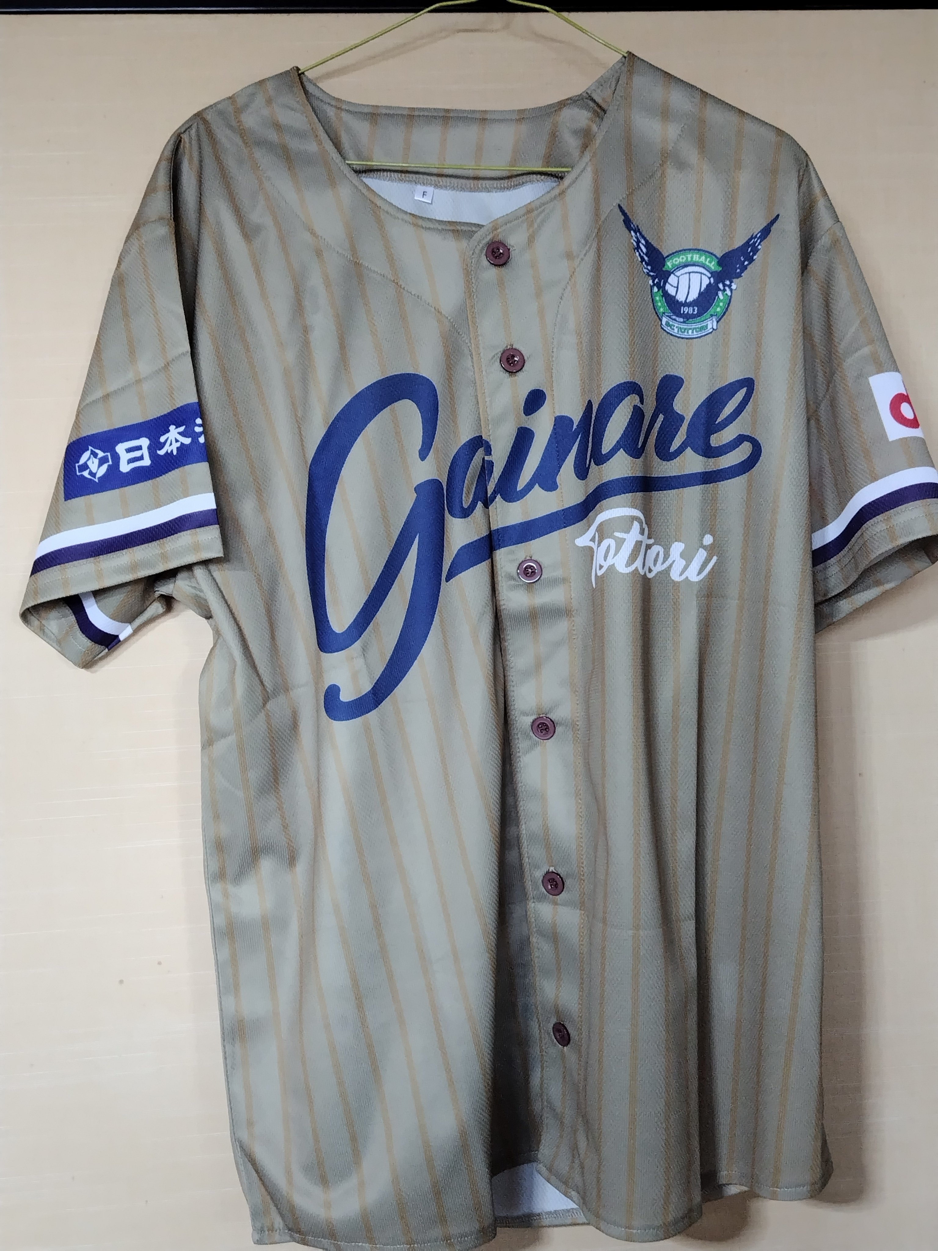 ガイナーレ鳥取2025年十大ニュース｜KAZZと名乗る適当なおっさん