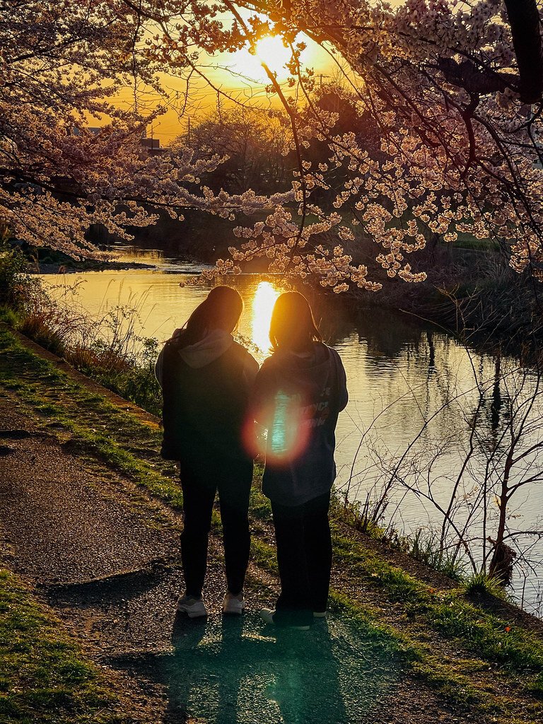 散歩道 散歩の達人 2025年8月号 (発売日2025年07月18日) | 雑誌/電子書籍/定期