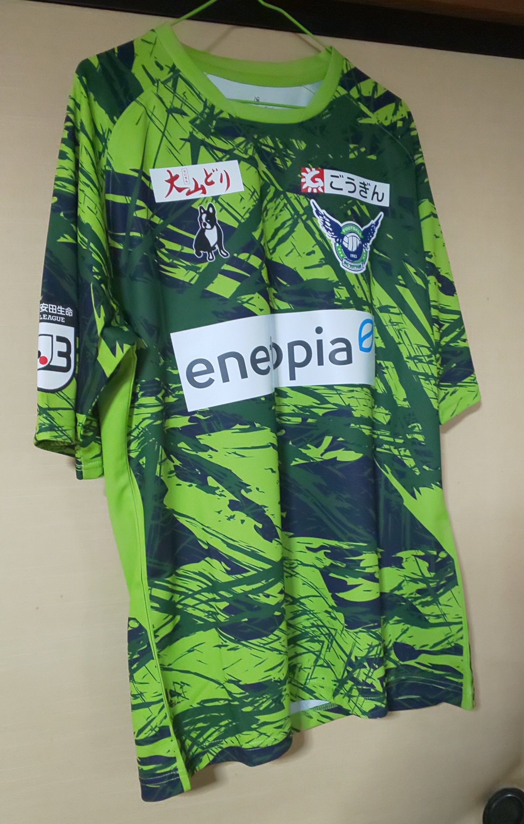 ガイナーレ鳥取2025年十大ニュース｜KAZZと名乗る適当なおっさん