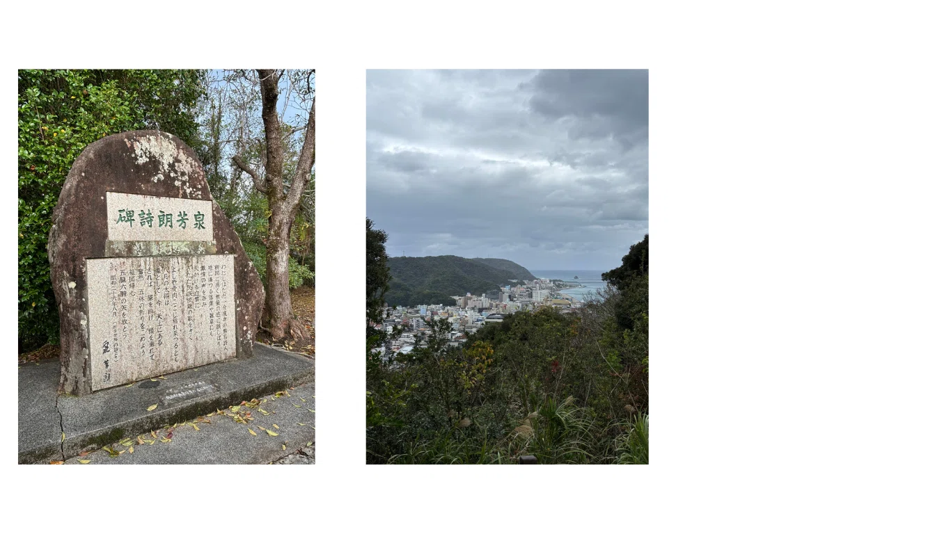 奄美群島日本復帰の日に｜山川さら