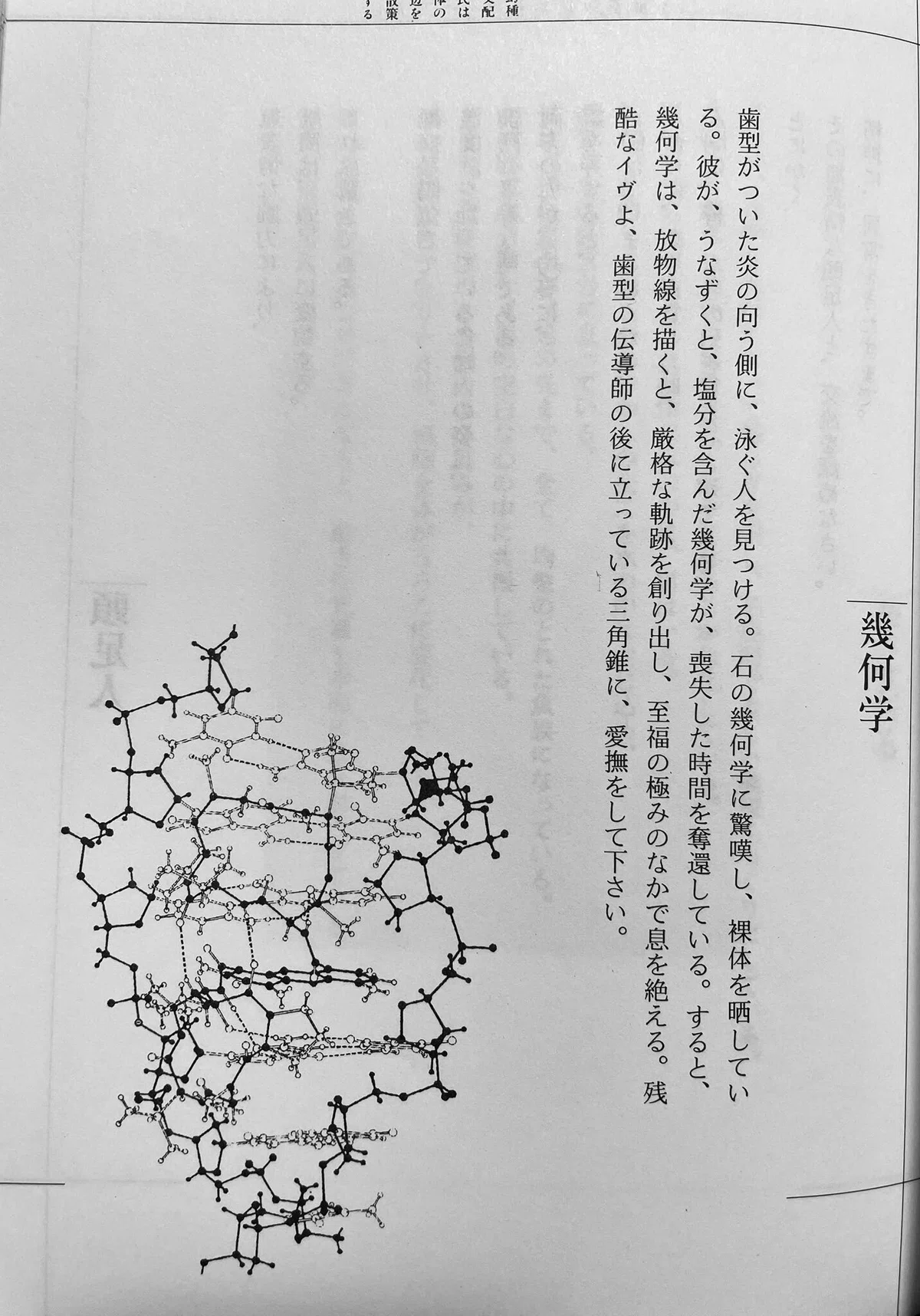 2025年8月～12月｜奇書が読みたいアライさん