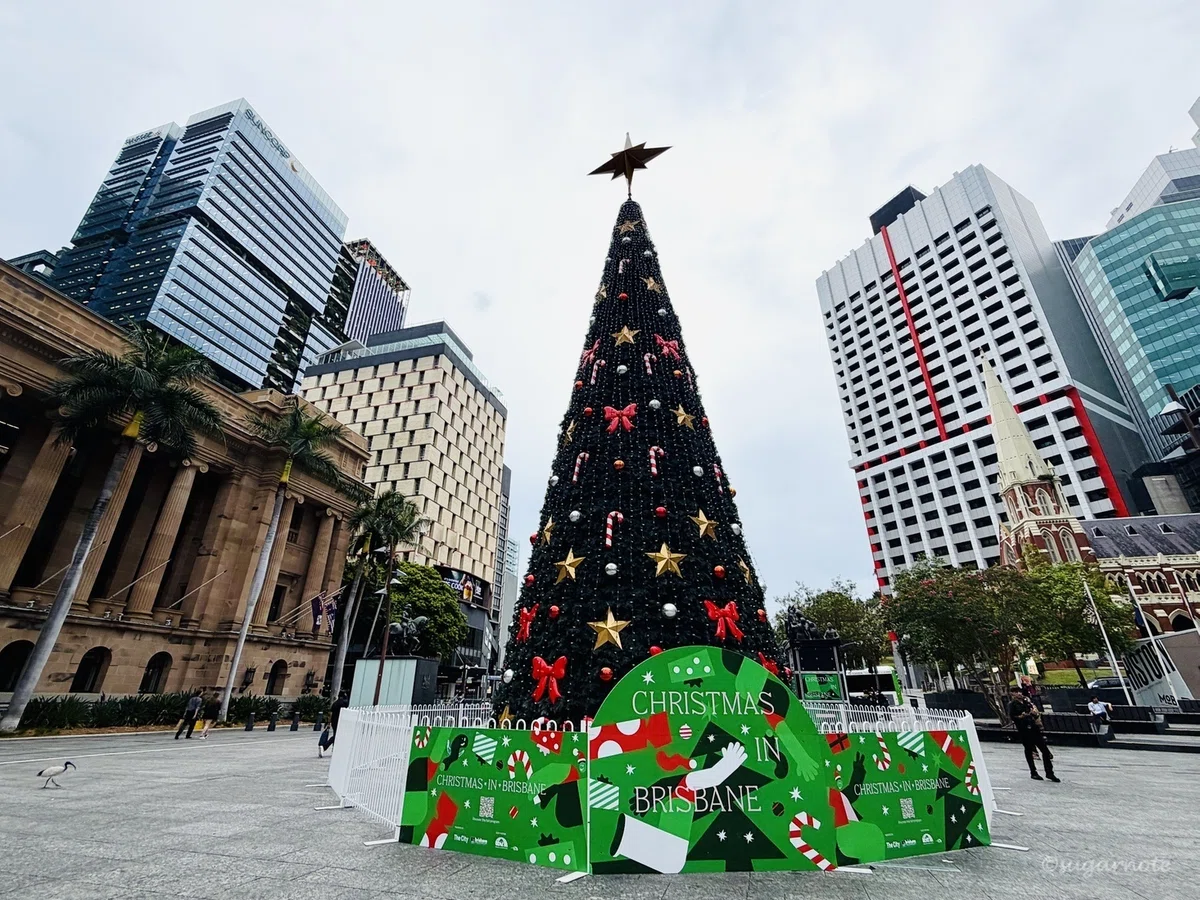 クリスマス in ブリスベン |Rui Brisbane City Christmas Tree