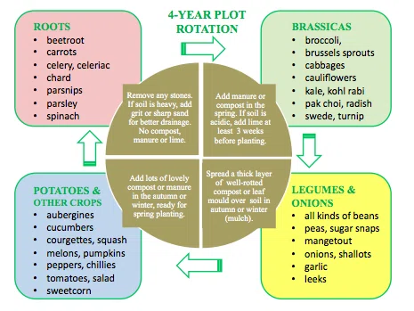 Unit 2 Part 4: How to Promote Biodiversity on Organic Farms｜Monkey ...