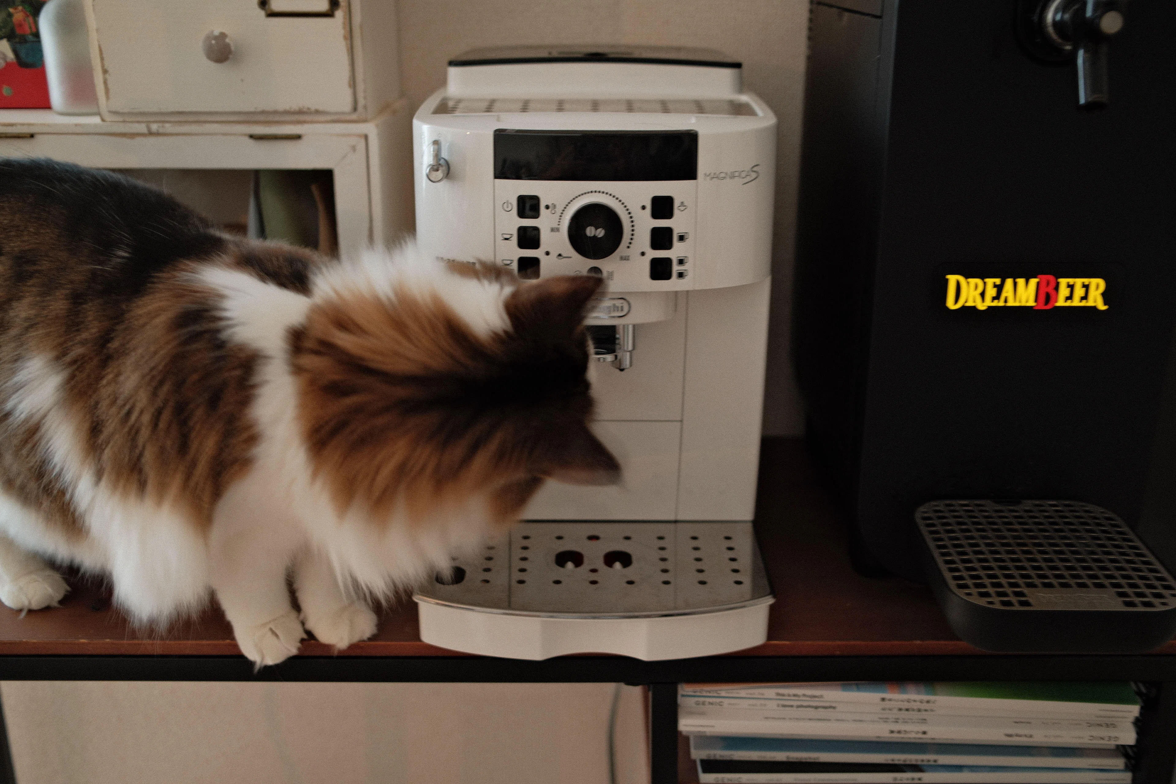 在宅ワークのQOLが爆上がり。もっと早く買えばよかったと後悔したDe