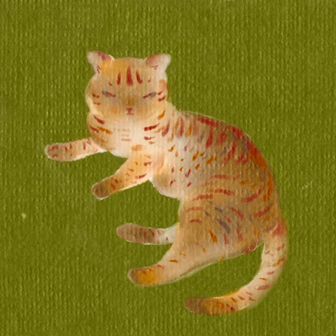 ç»å