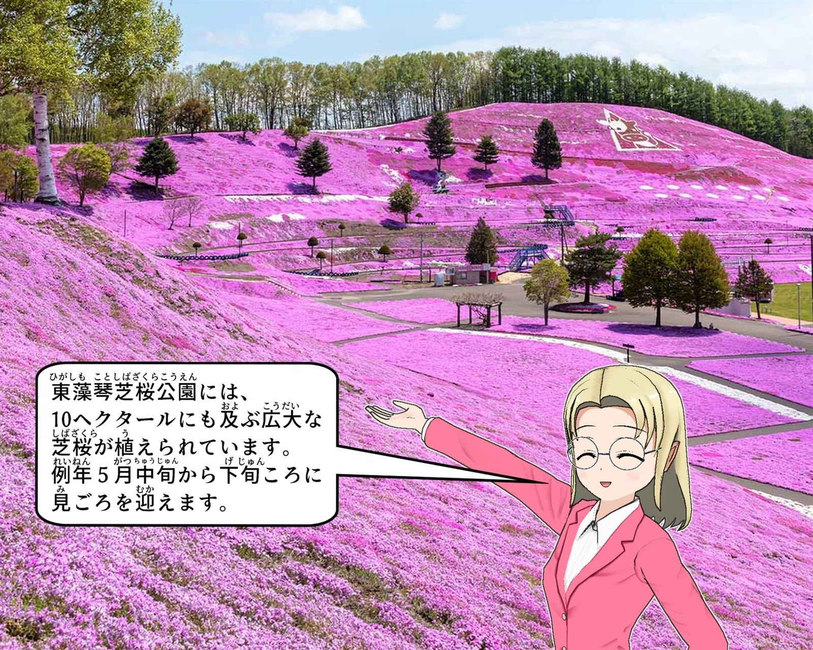 ひがしもこと芝桜公園｜大空町のひみつ