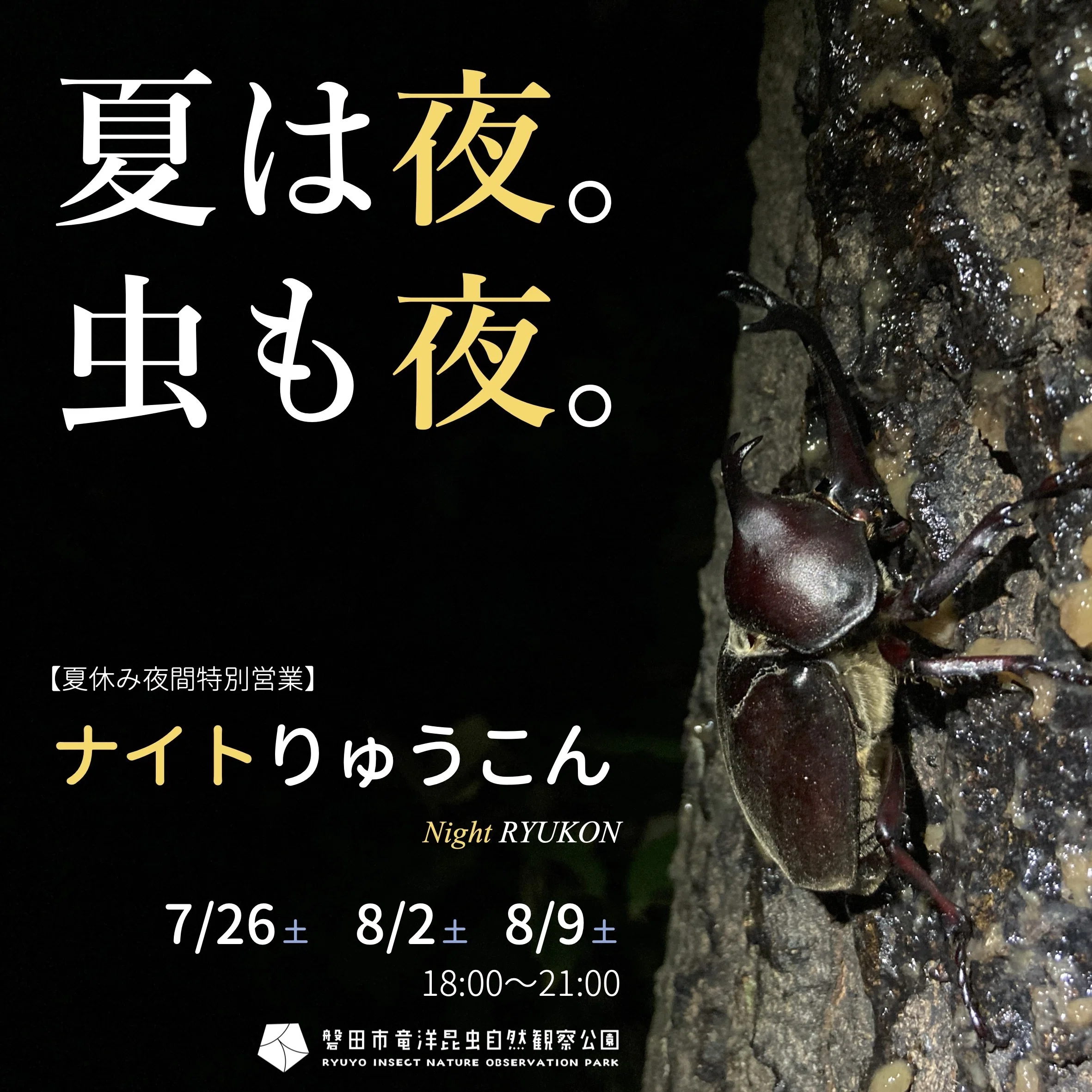 2025年りゅうこん10大ニュース【後編】｜竜洋昆虫自然観察公園