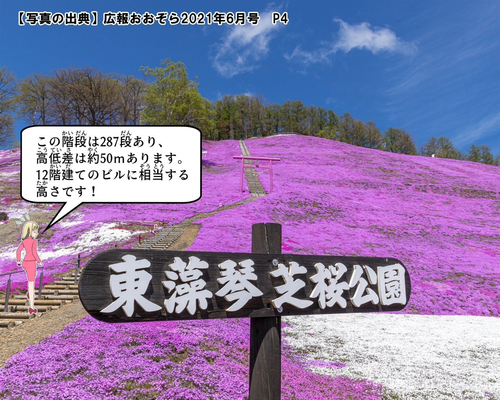 芝桜　ロミオ様ご確認用です♪ ひがしもこと芝桜公園｜大空町のひみつ