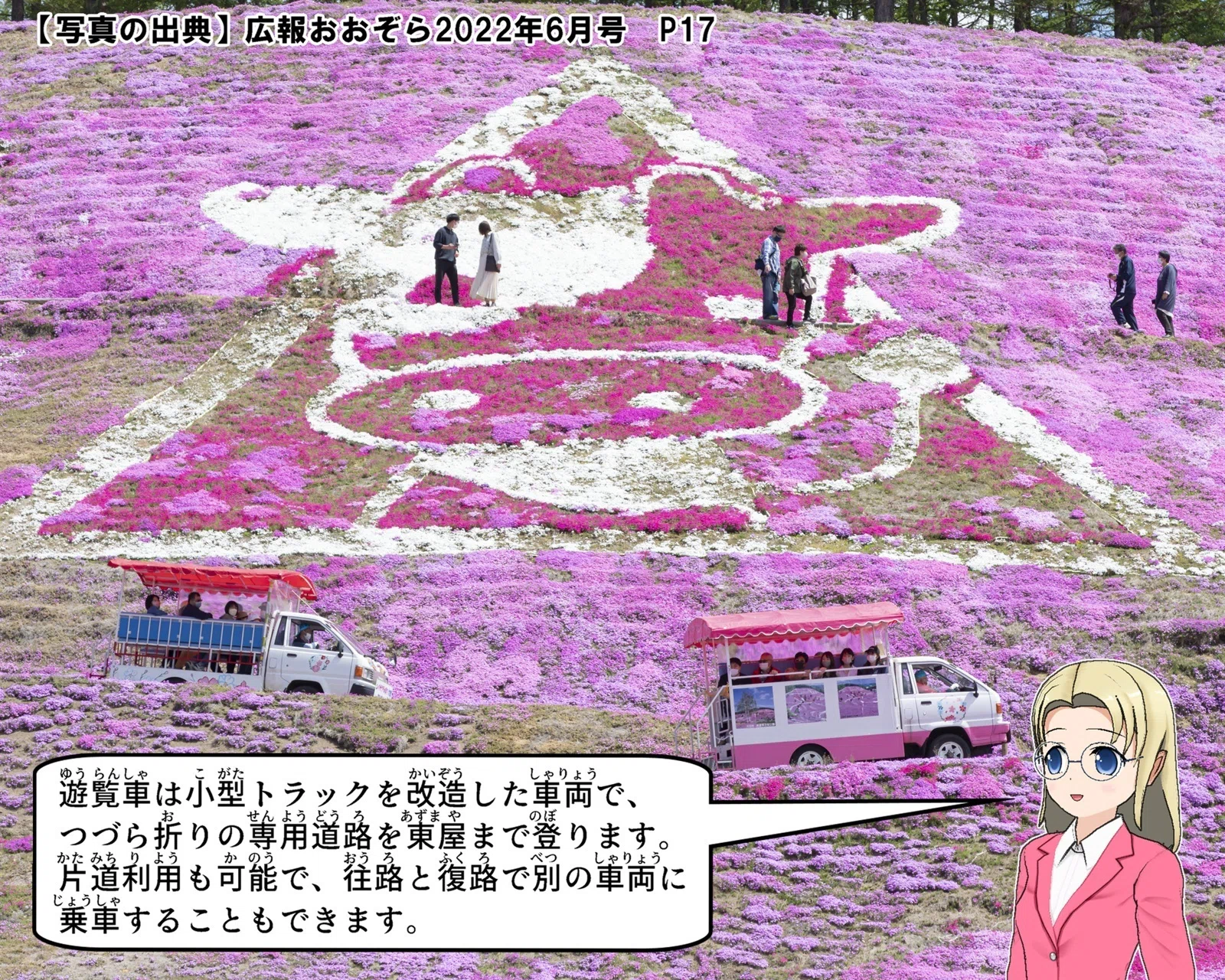 ひがしもこと芝桜公園｜大空町のひみつ