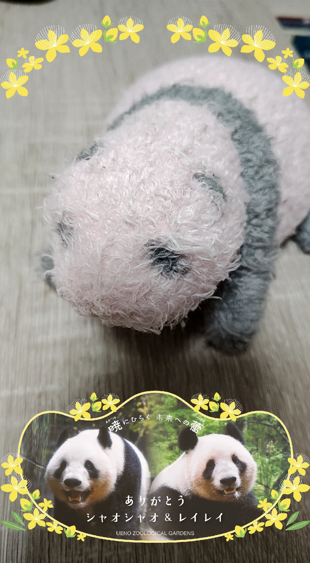 元気でね、シャオシャオレイレイ｜しらうめねず