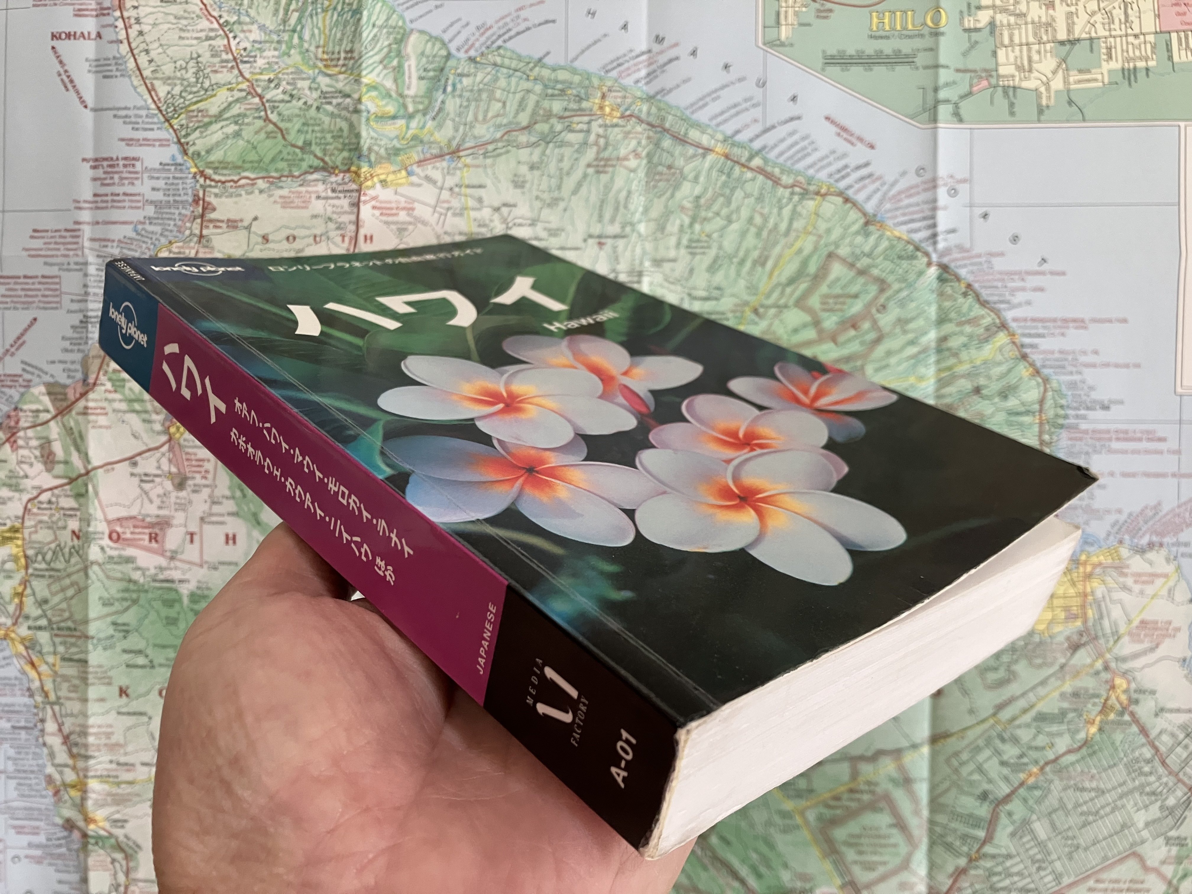 039 自己責任のハワイイ旅とロンリープラネット｜佐吉のハワイイ研究