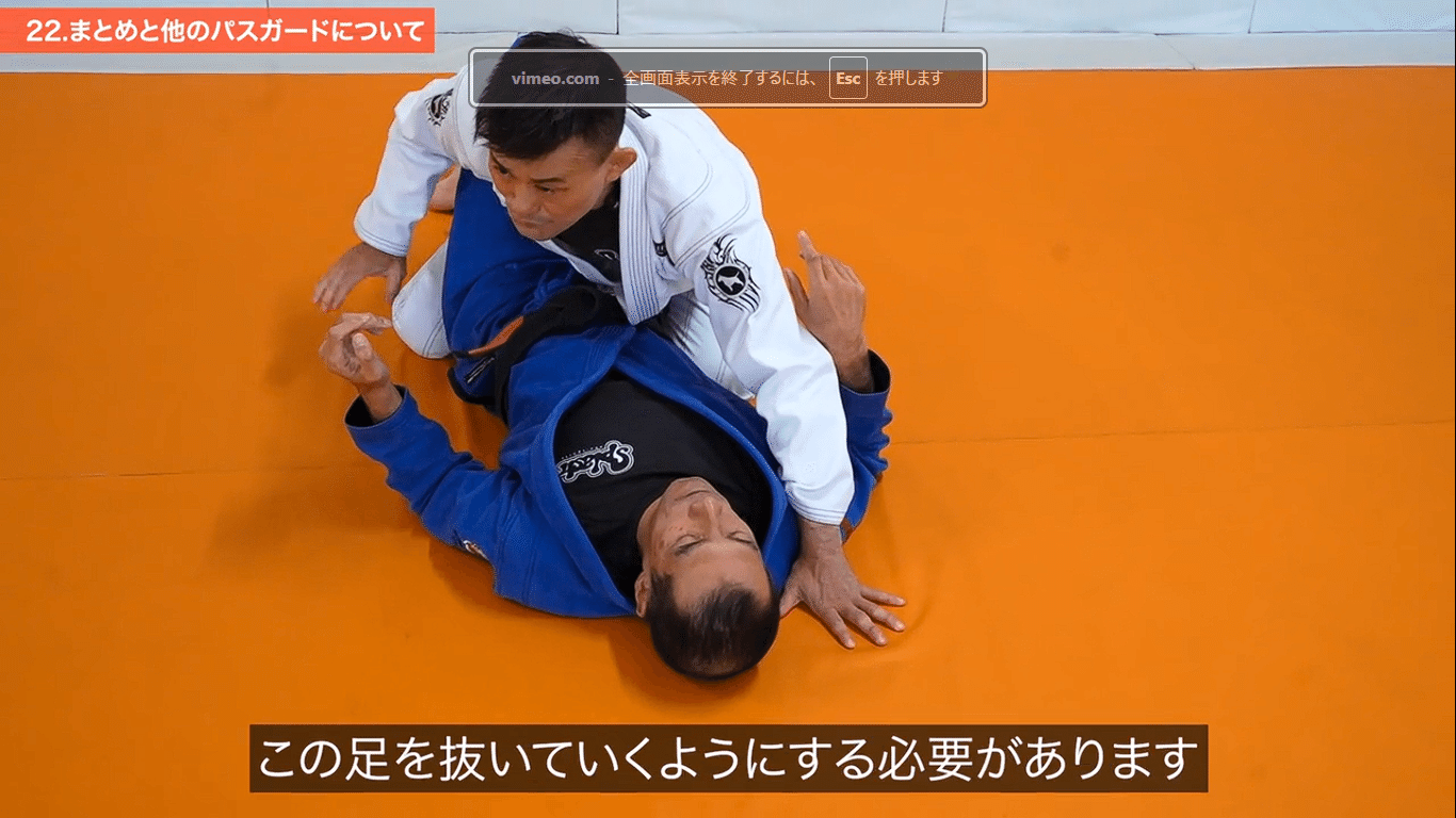 【柔術 DVD】木部亮 アウトサイドパスの基本原則 木部亮 アウトサイドパスの基本原則 動画版（vimeo版・Dropbox版
