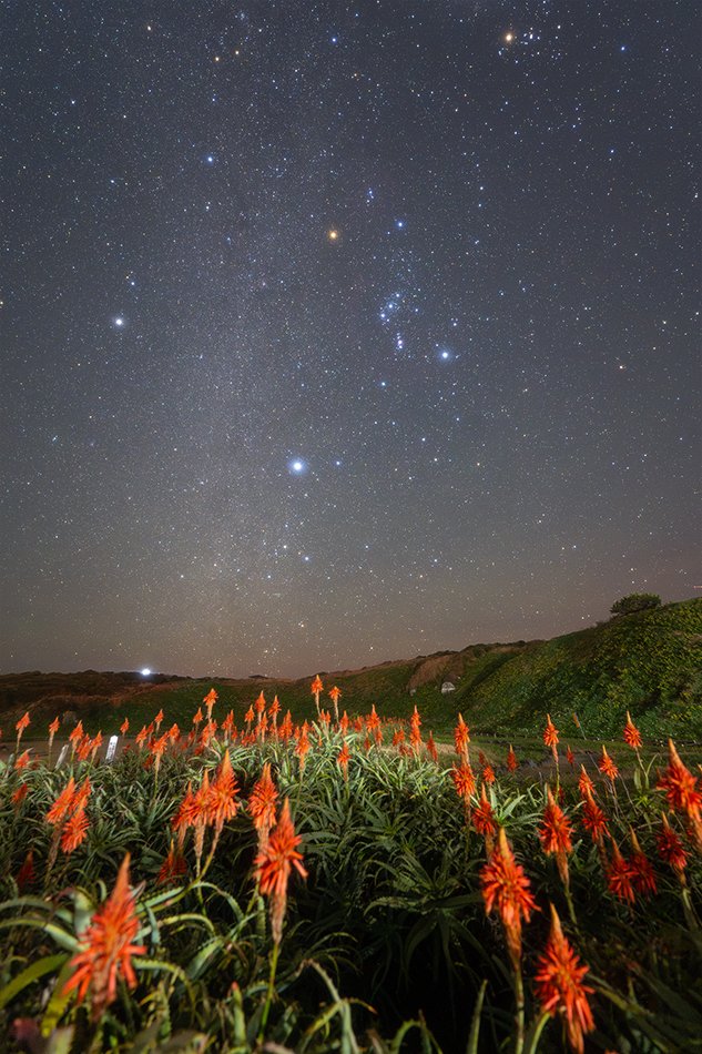 星の風景 写真とともに振り返る、2025年の星活｜星空写真家・「好き」を「得意