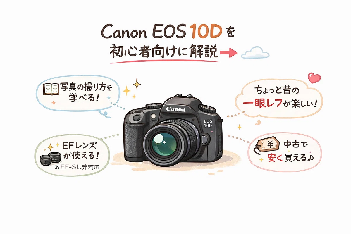 Canon EOS 10D Review | A Classic Model from the Dawn of Digital