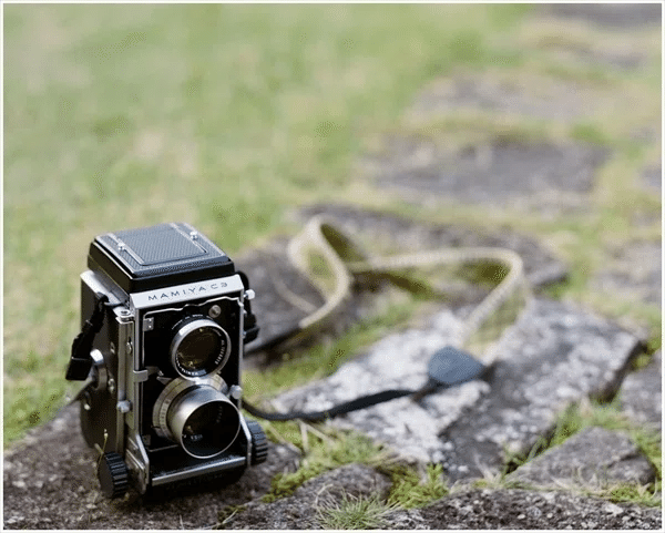 MAMIYA C3 Professional 🔴｜いつかどこかで