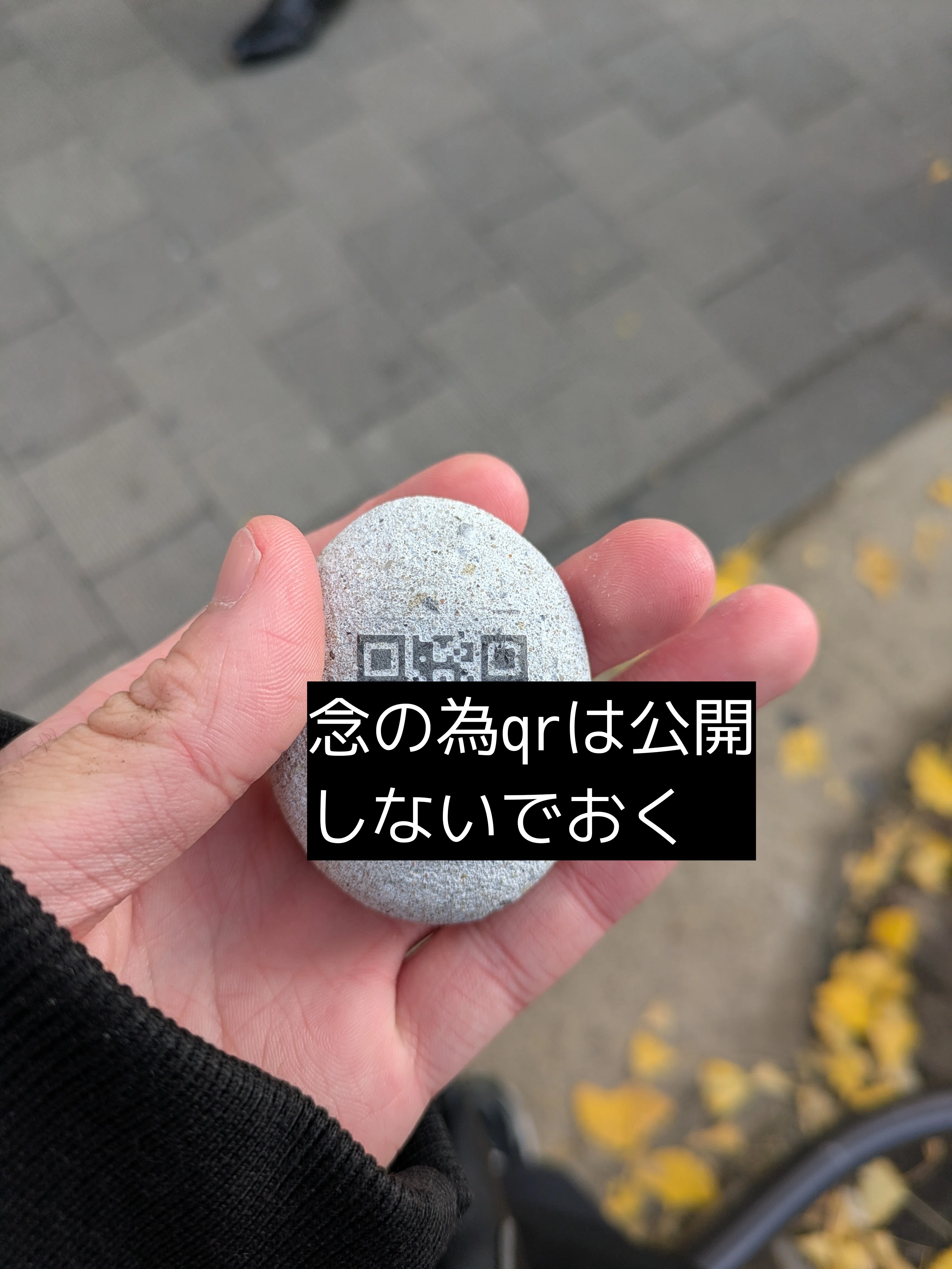 秋葉原で拾った謎の石｢奇石｣｜Chinoru6