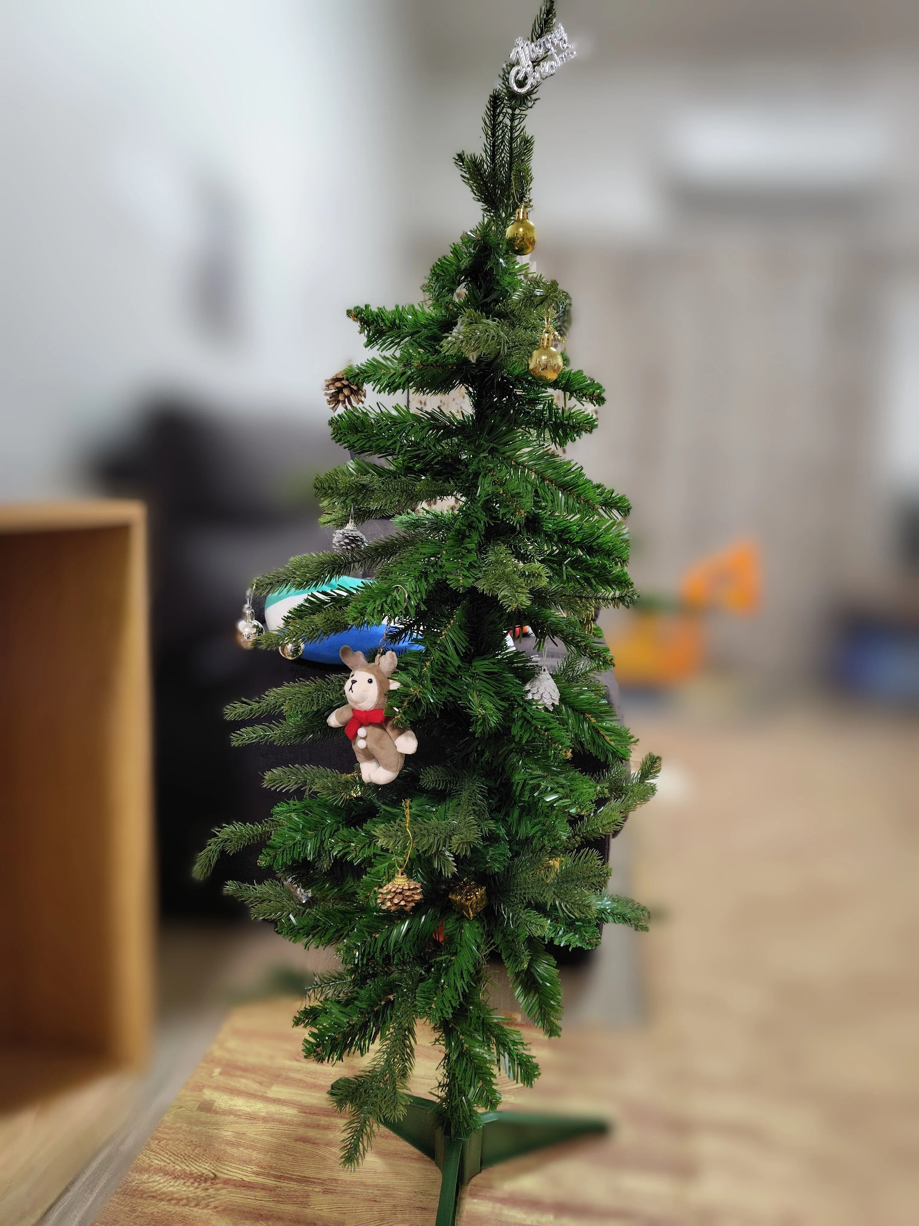 Welcoming Christmas 2025 with a cheap tree and cheap ornaments