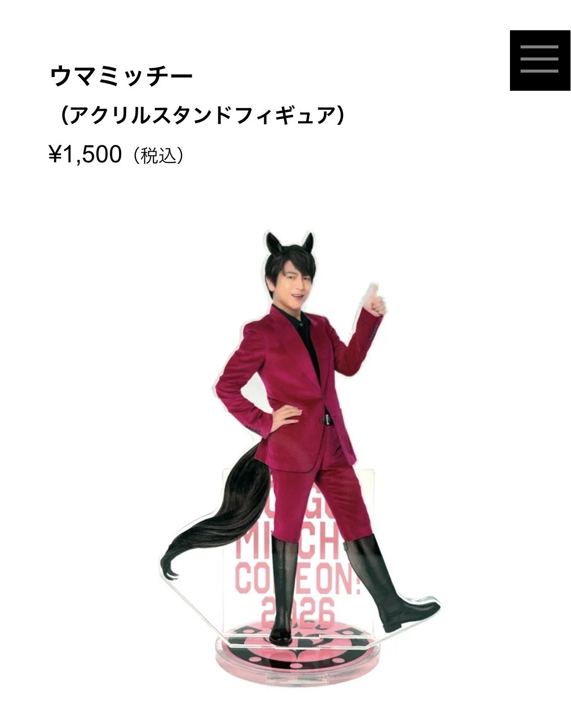 ゆくミッチーくるミッチー2025の話｜yz