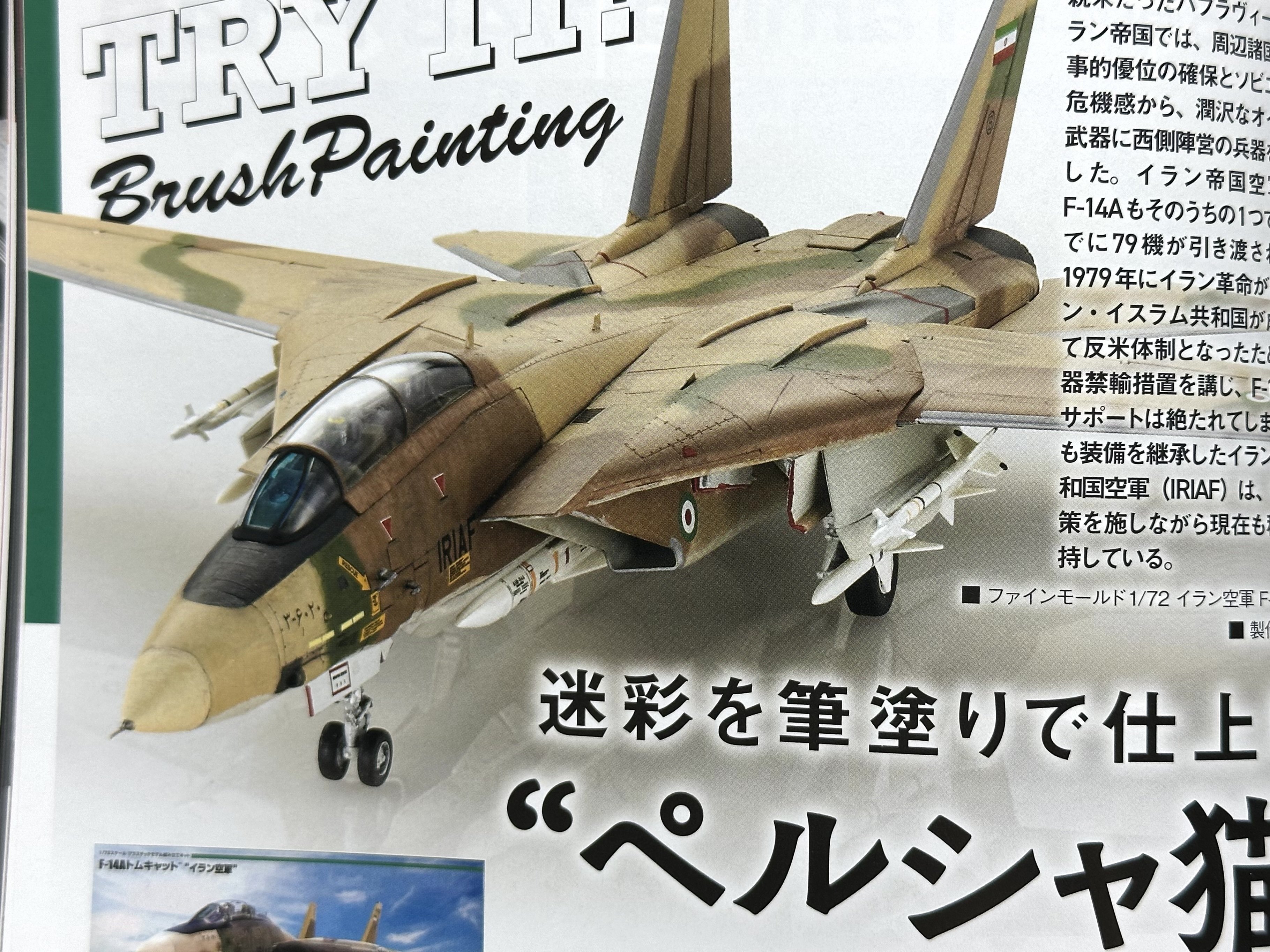 僕の“原点”にして“頂点”。F-14トムキャットへの愛が止まらない『月刊