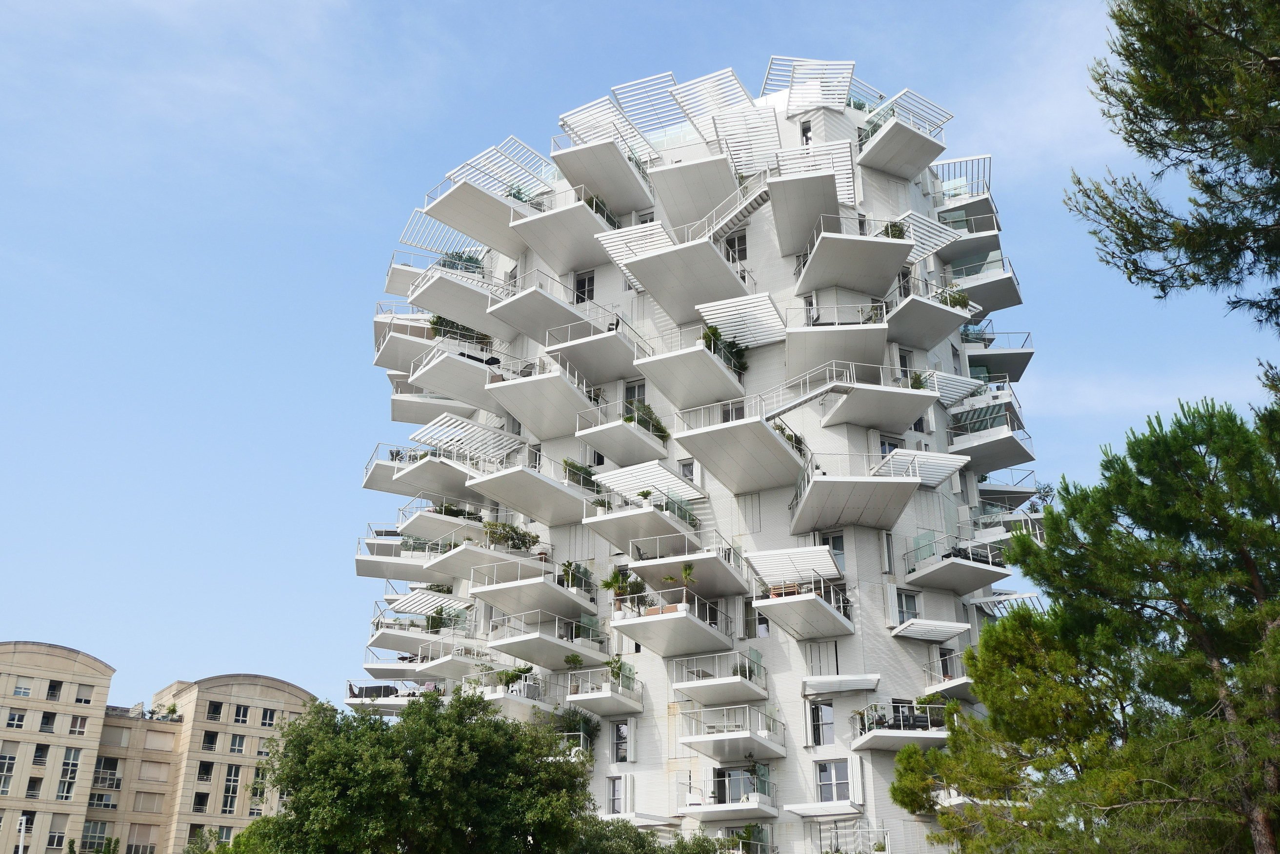 藤本壮介が手掛けた南仏の白い大木 | ラルブル・ブラン【フランス】｜わた