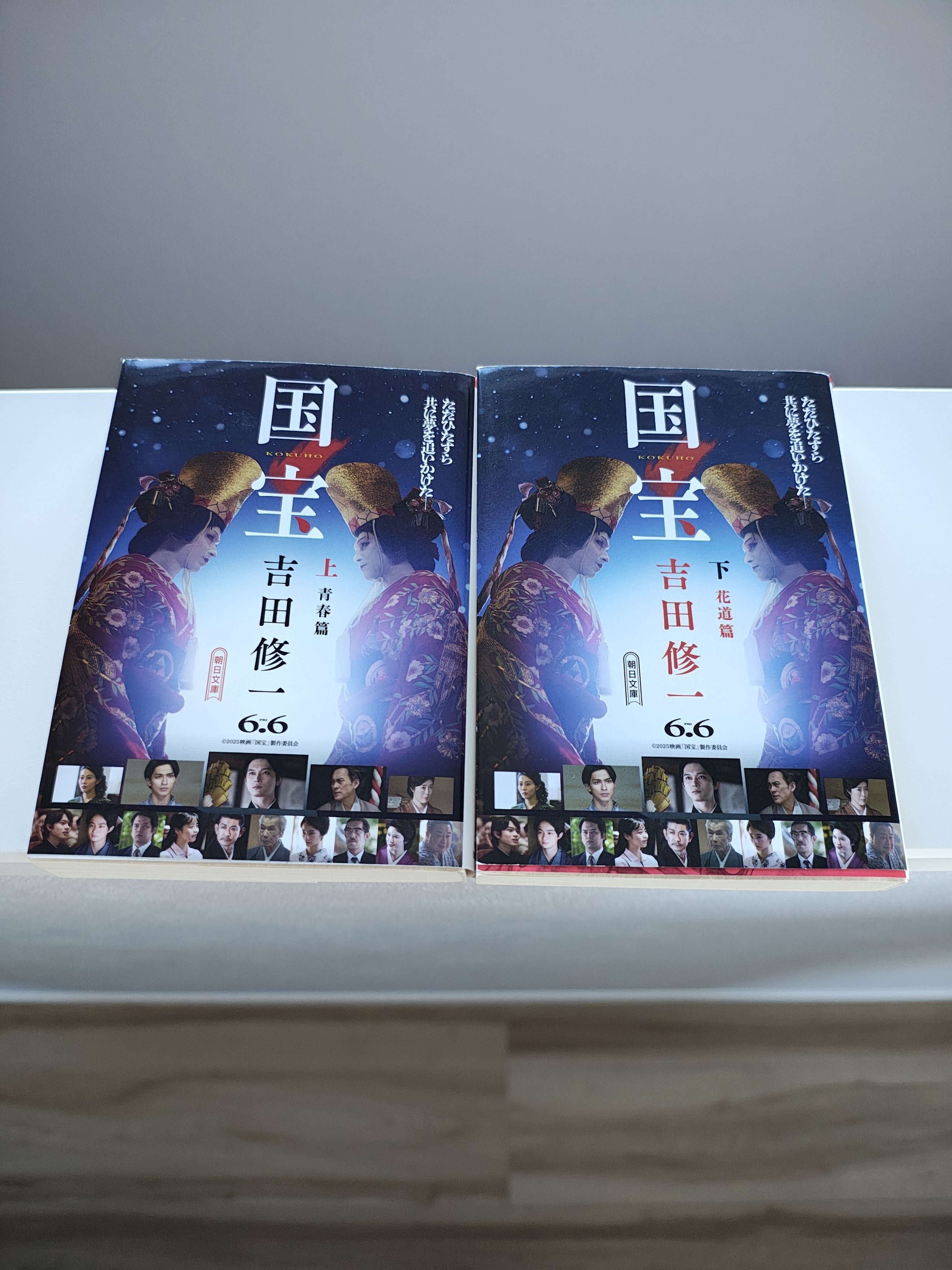 国宝」上・下巻 （吉田修一）を読んで｜積読猫