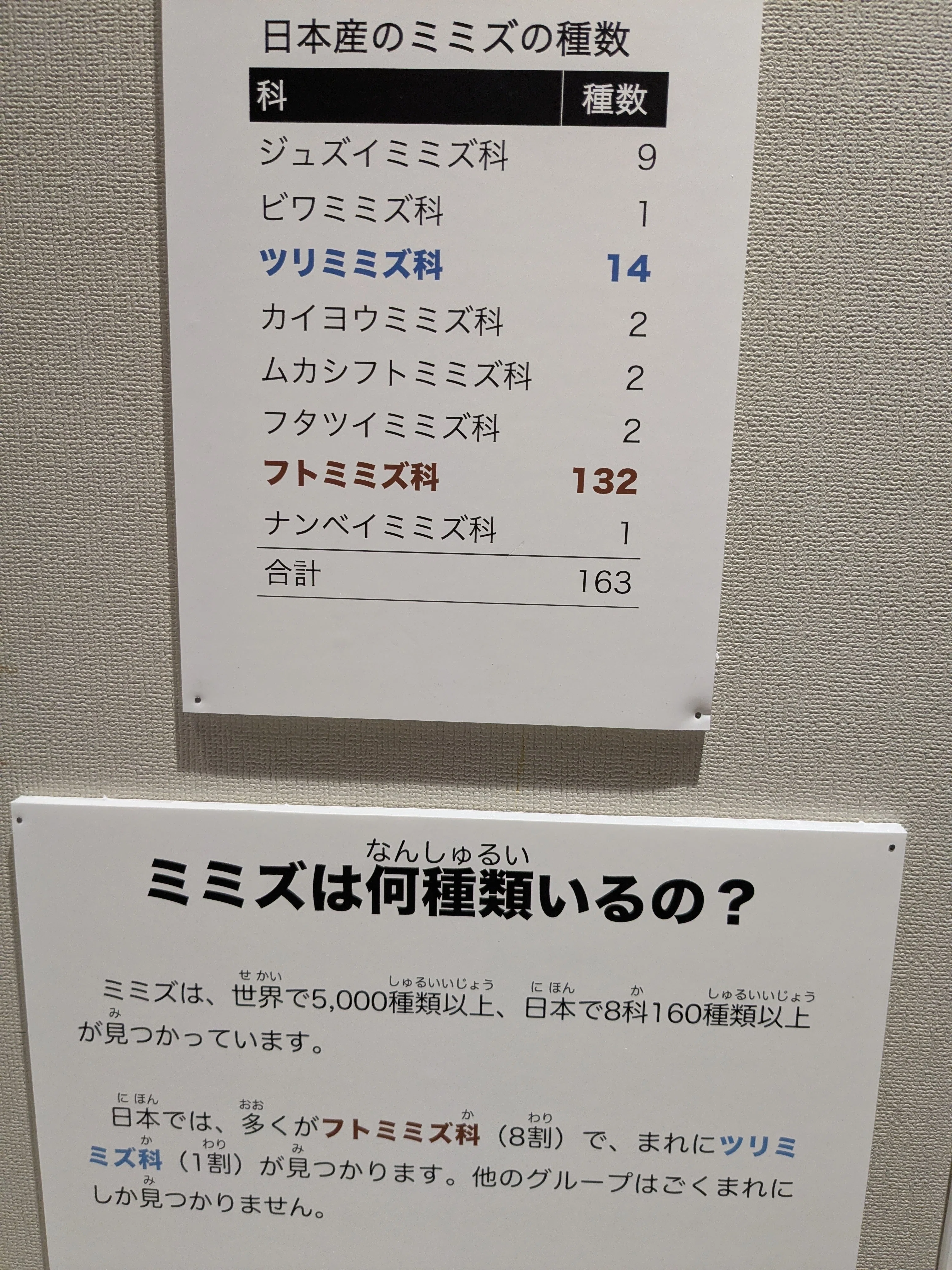 県立博物館 ”ミミズ展” にいってきました🪱｜タケチック®️