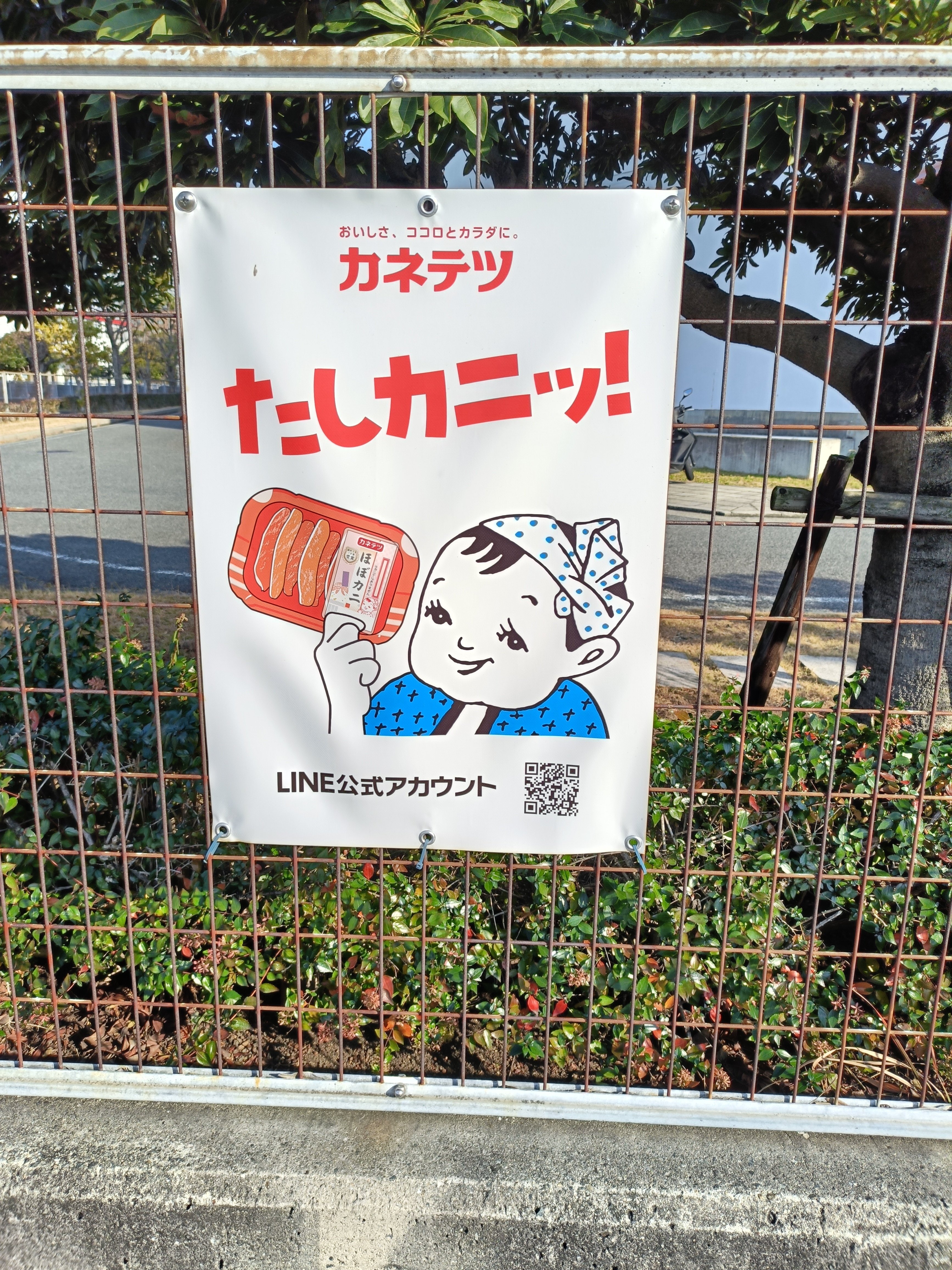 てっちゃん てっちゃん かねてっちゃん｜こみこみこ