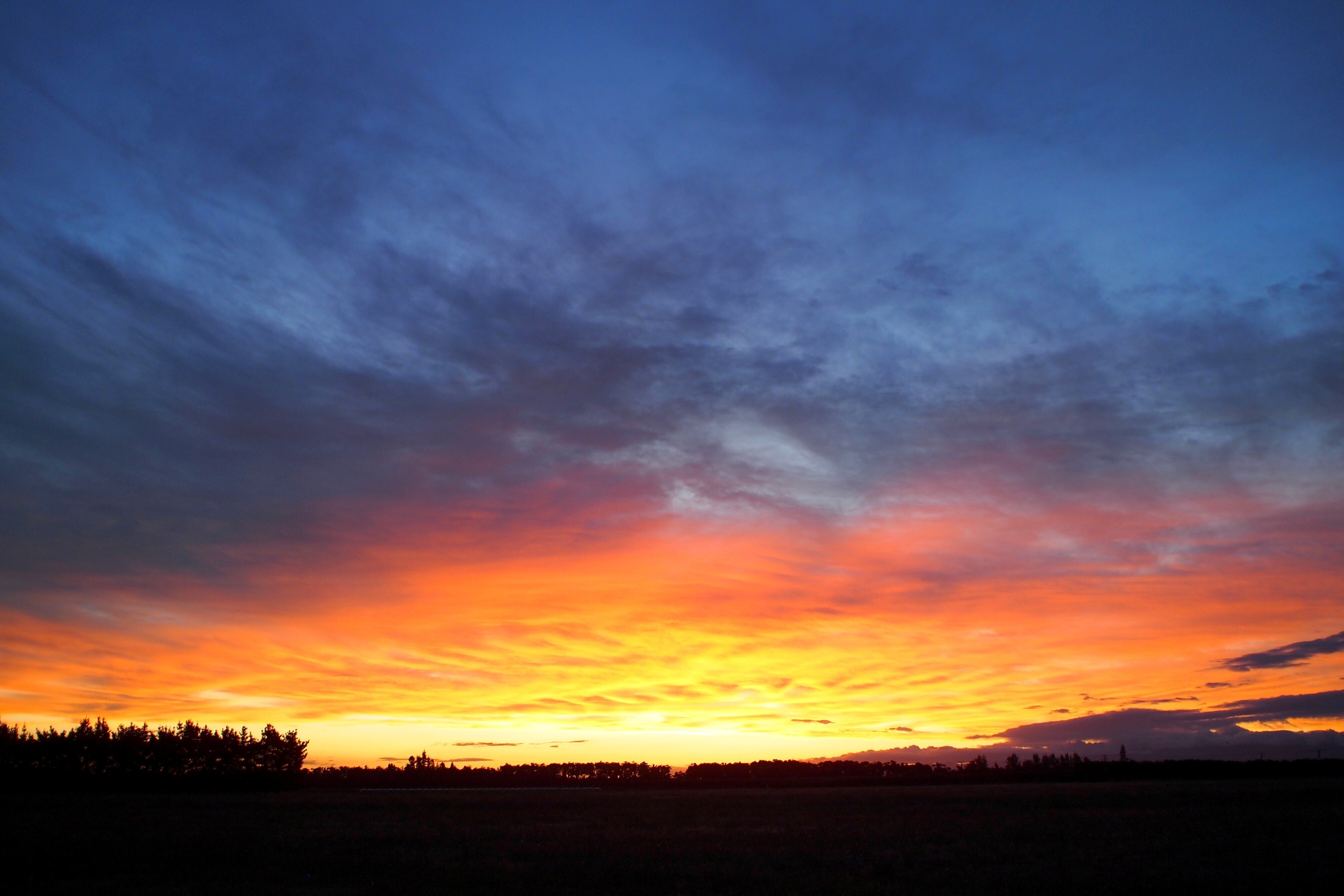 夏の夕暮れ in New Zealand｜Yoshi@ニュージー