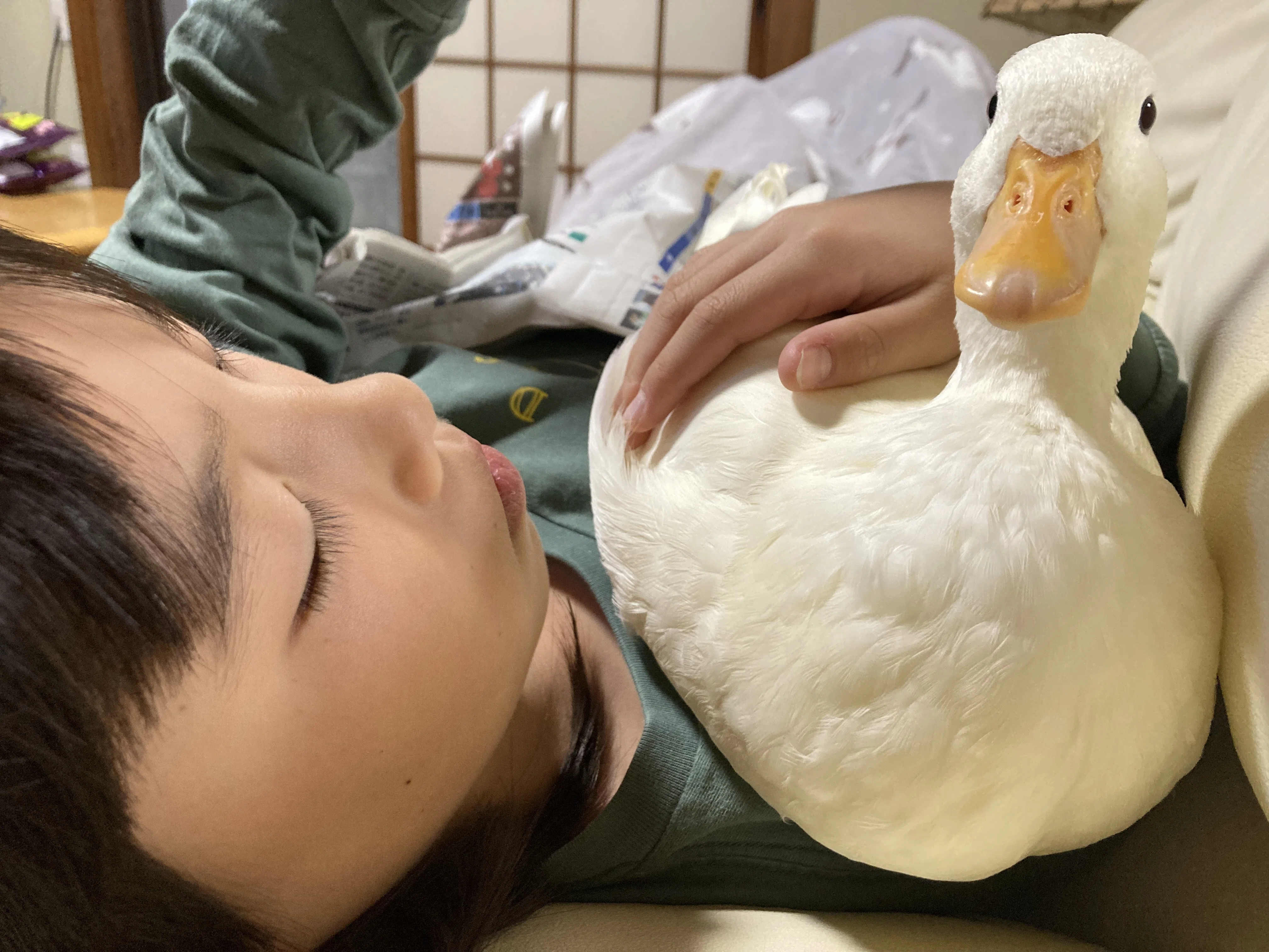 骨折3週間でNAHAマラソン⑥ 鳥に出会い、コザへ向かい、まさかのギフト
