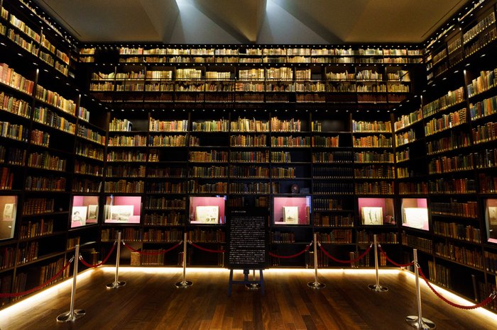 本棚のある生活＋α】2025年11月に読んで面白かった本｜trafalgar