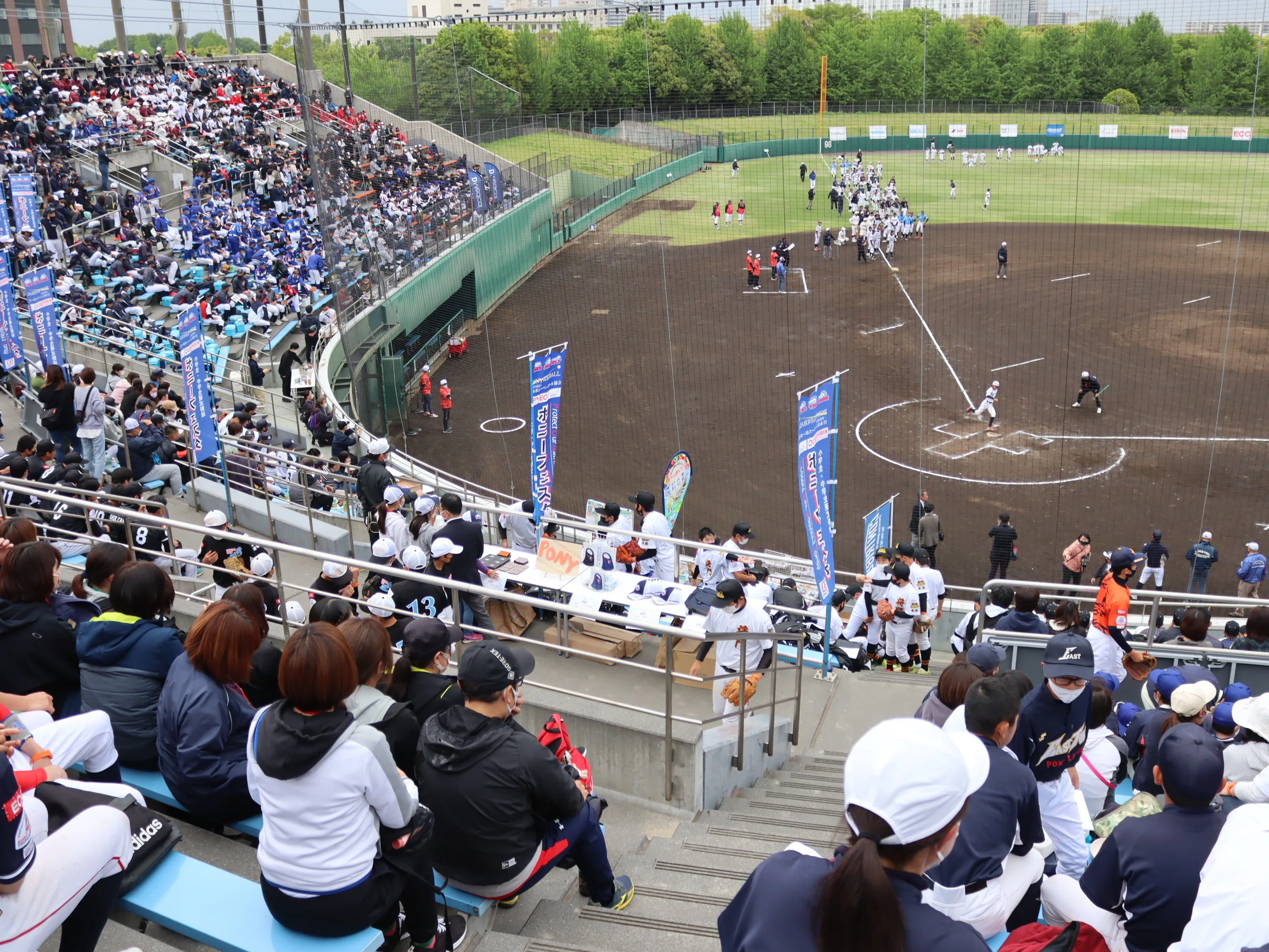 中学硬式野球は今、どうなっているか？｜広尾晃「野球のことを中心に