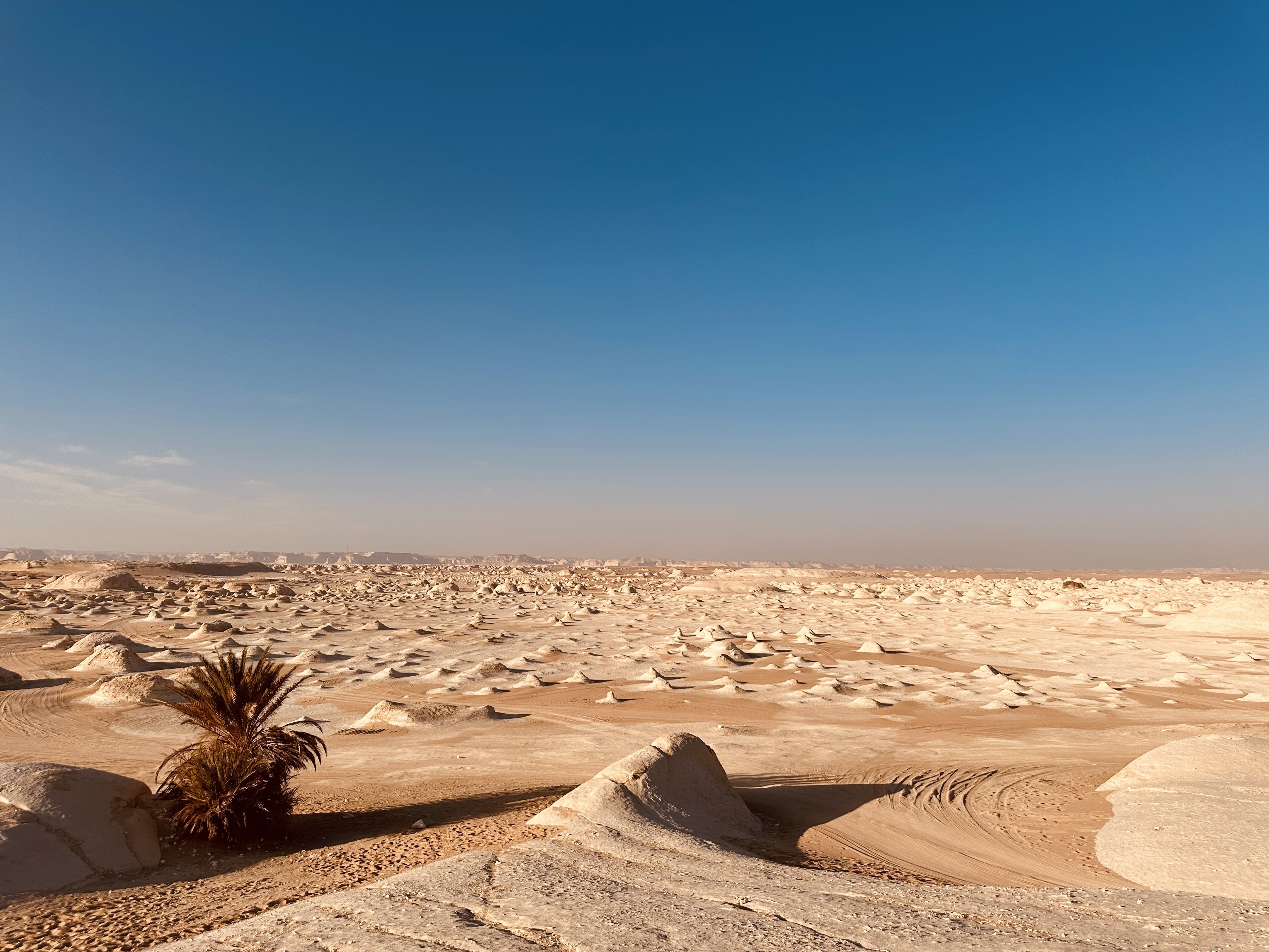 女ひとり旅エジプト旅行】④砂漠ツアー｜mom!