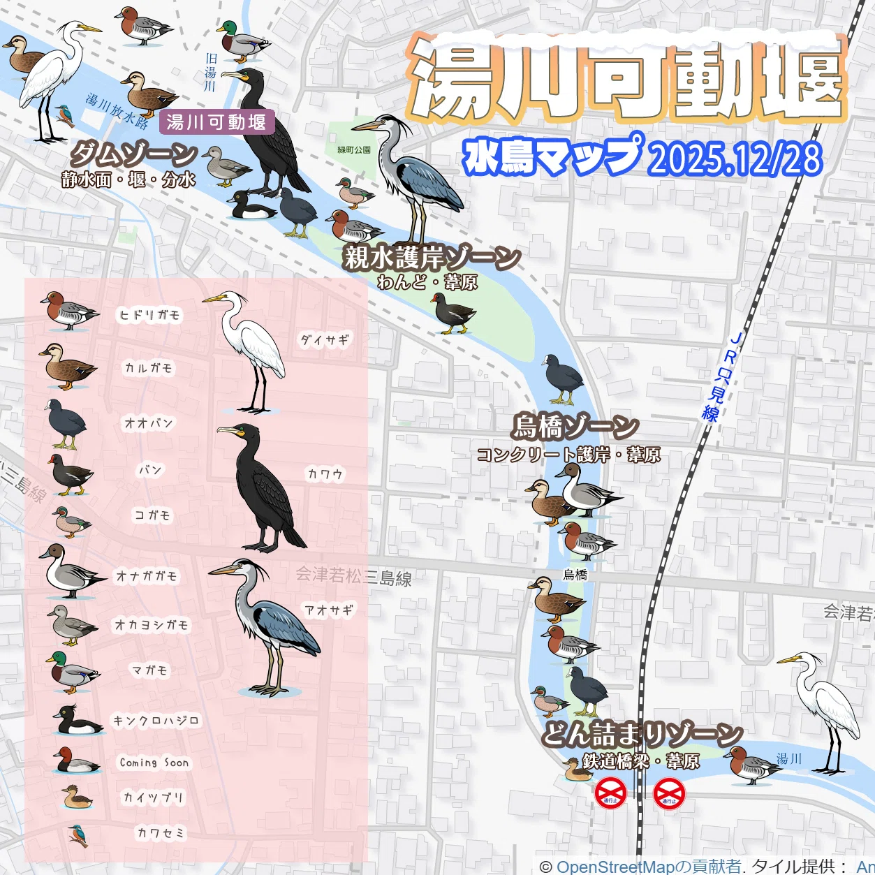 続・湯川可動堰-会津若松、初雪の後の水鳥たち-｜高橋｜あかまるフォート