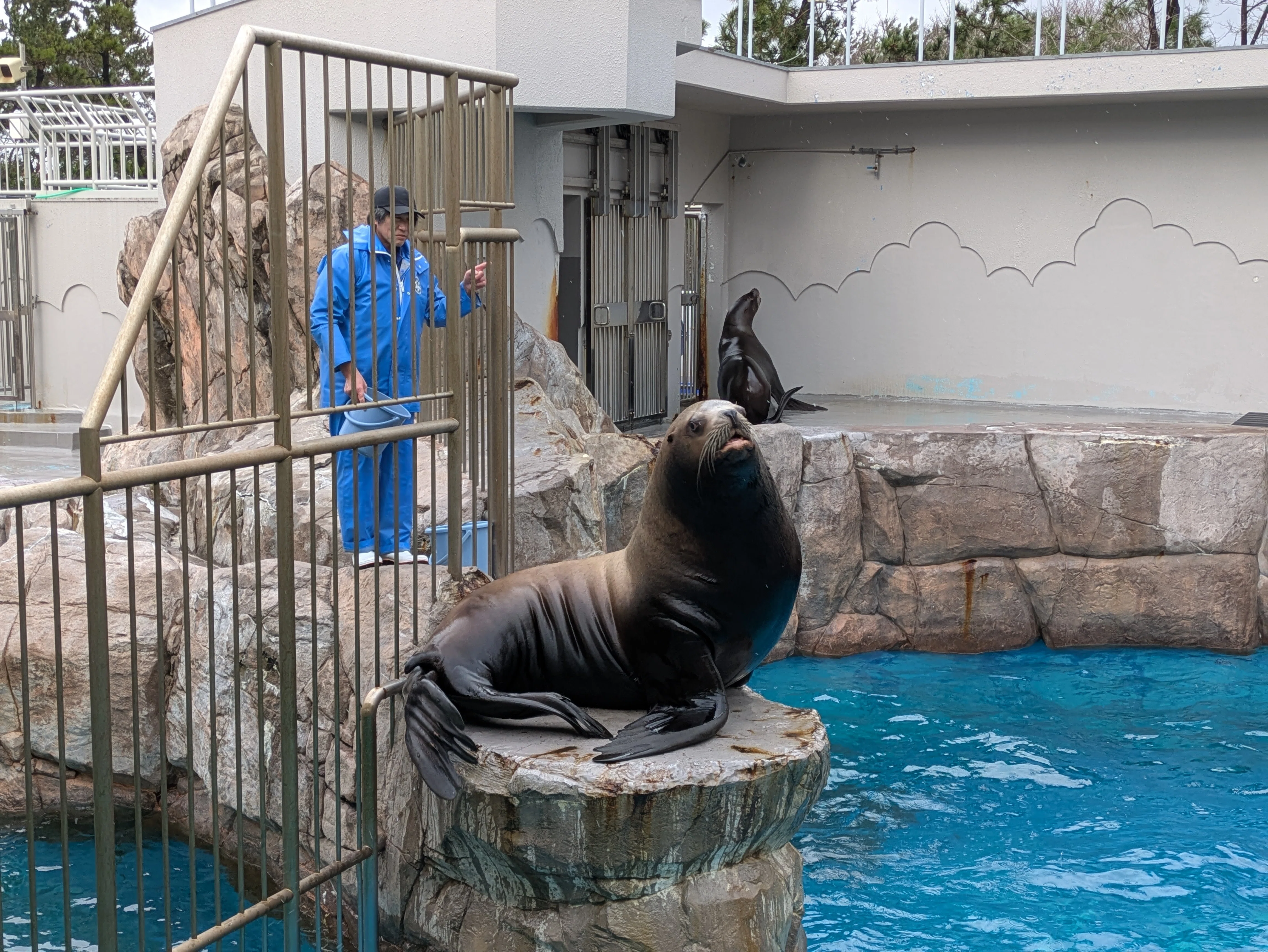 Niigata's 'Marinepia Nihonkai' Was an Interactive Aquarium｜ワタンド