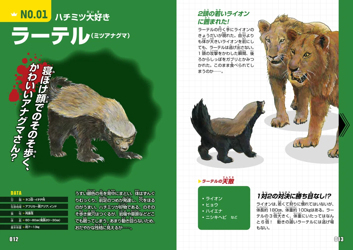 活動歴および当時の関連ビジュアル記録