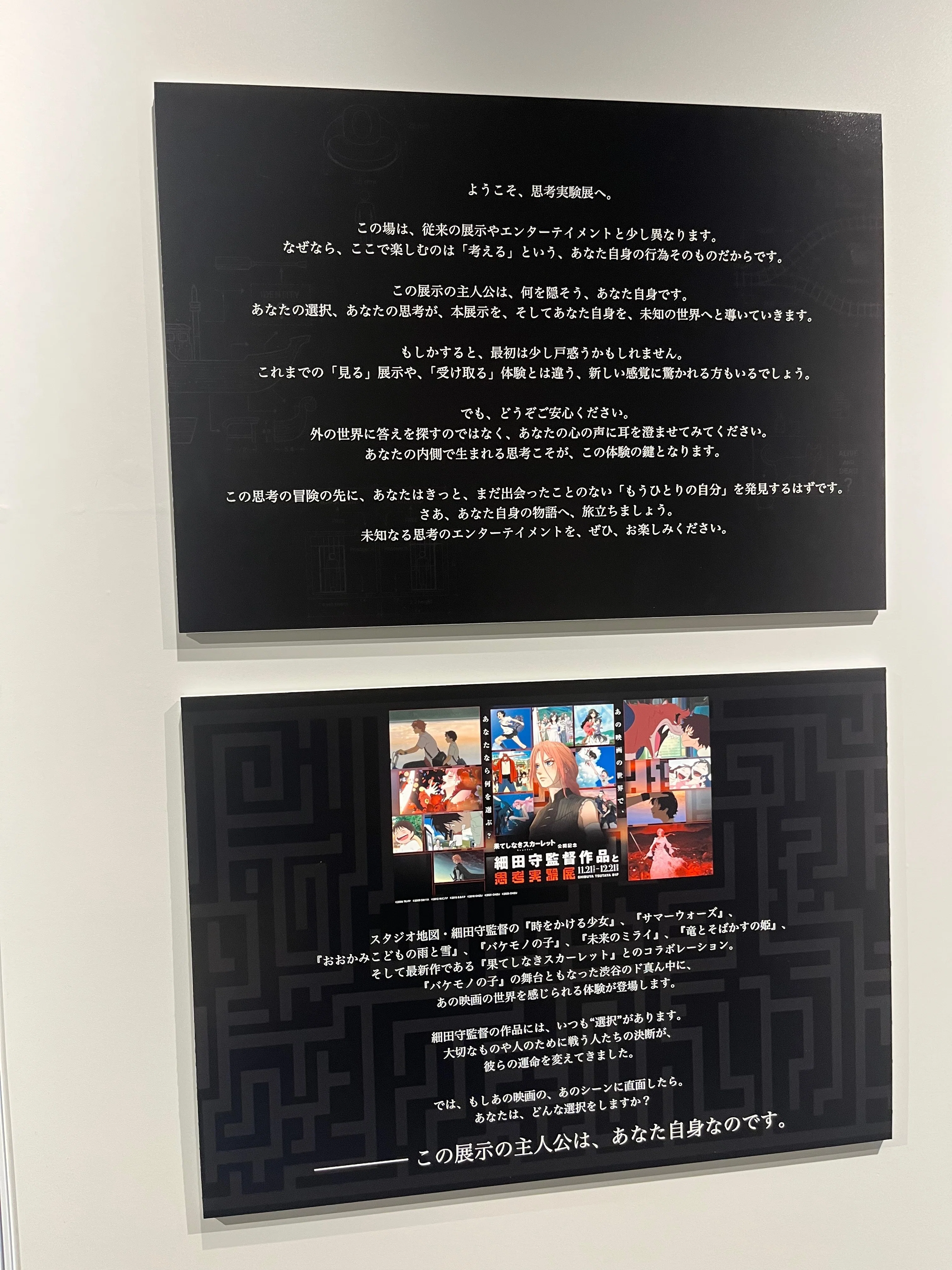 思考実験展(細田守監督作品)に行ってみた｜みや